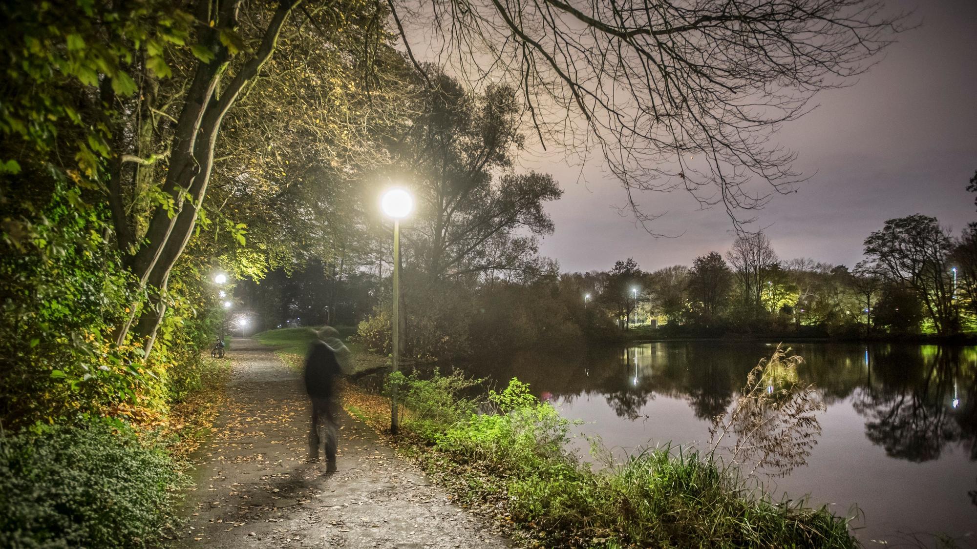 Die Leuchten am Oulusee sind wahre Insektenkiller, sie sollen gegen neue LED-Lampen ausgetauscht werden, die nachts Rotlicht abgeben. Foto: Ralf Krieger