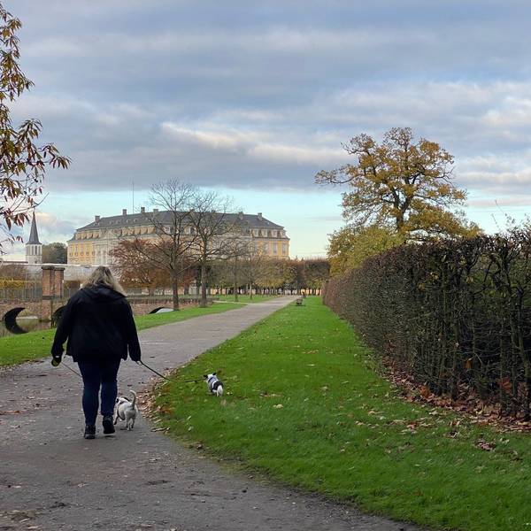 Zu sehen ist eine Spaziergängerin mit Hund im Brühler Schlosspark.