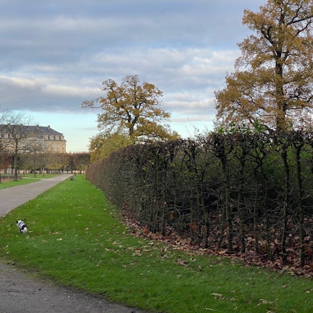 Zu sehen ist eine Spaziergängerin mit Hund im Brühler Schlosspark.