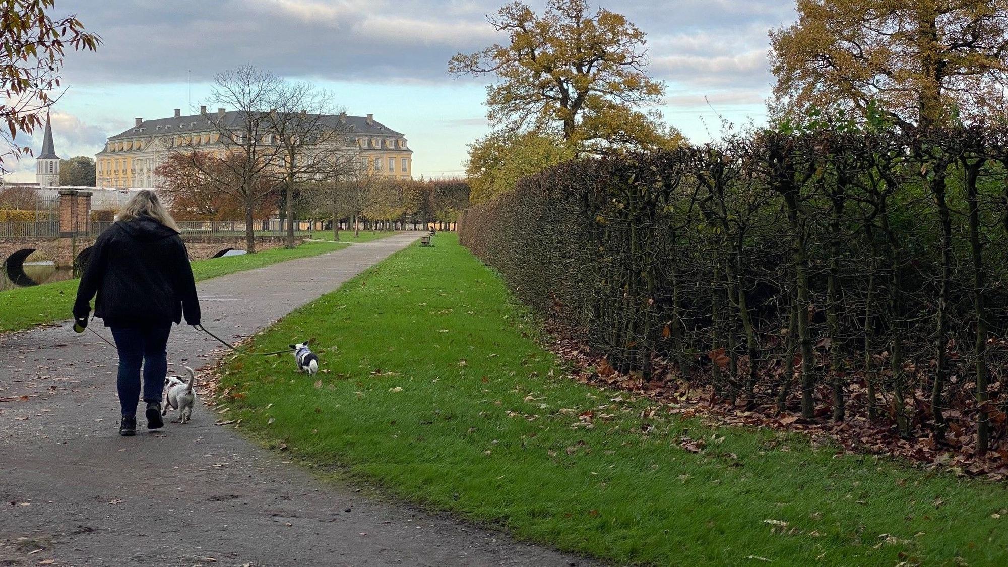 Den Brühler Schlosspark prägen die teils jahrhundertealten Bäume und der Blick auf die historischen Prachtbauten.