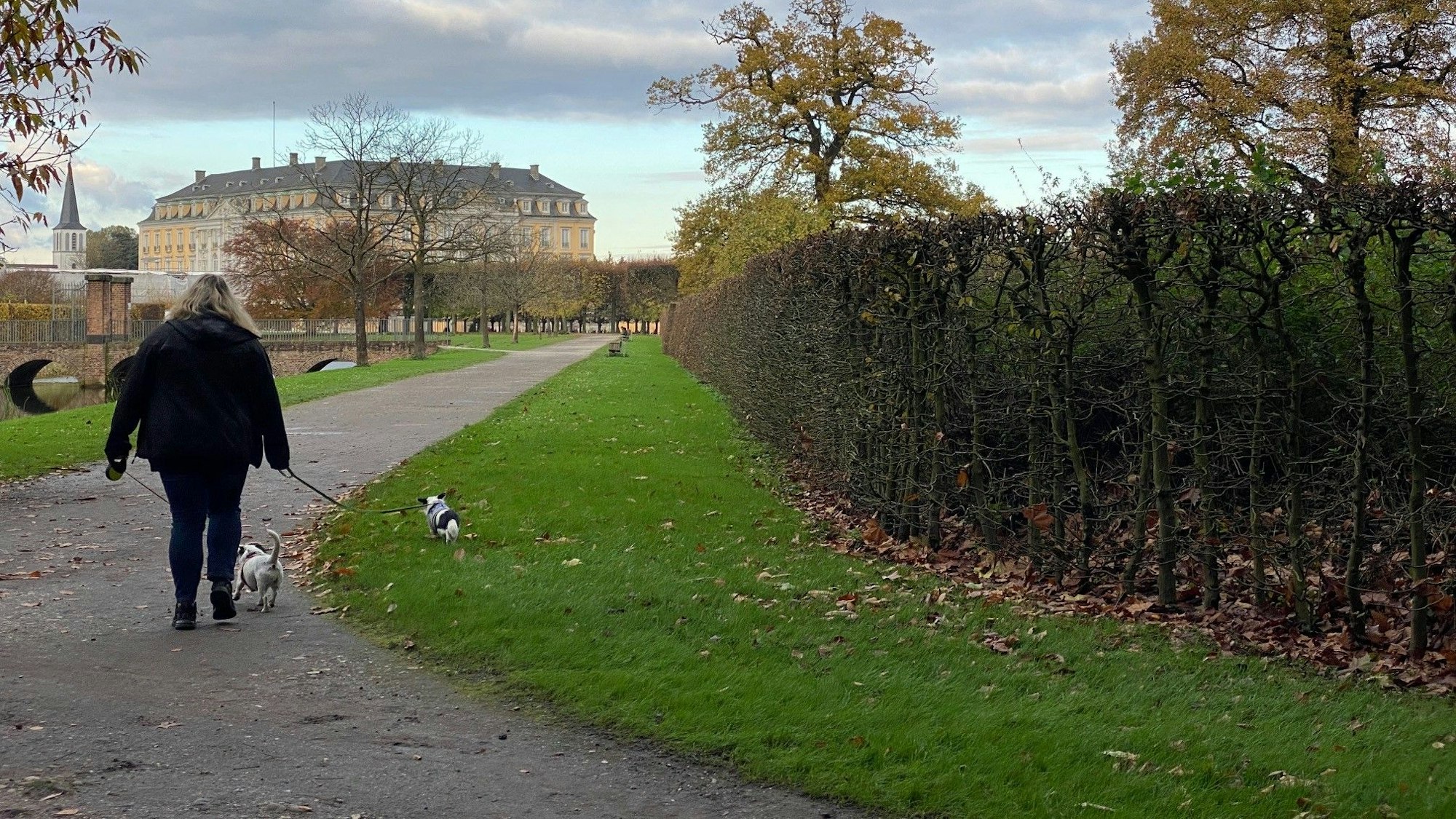 Den Brühler Schlosspark prägen die teils jahrhundertealten Bäume und der Blick auf die historischen Prachtbauten.