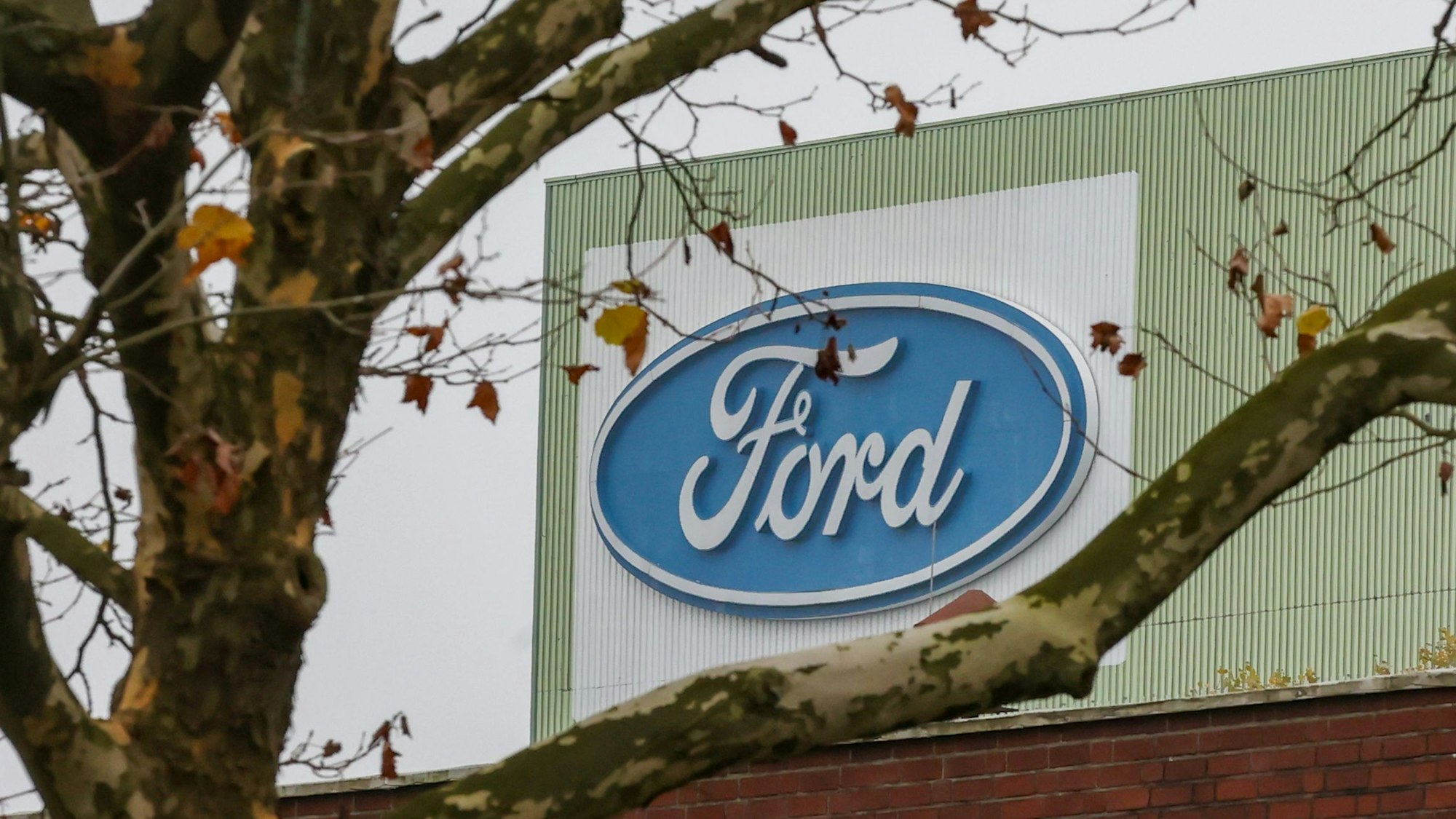 13.11.2024
Köln:
Ford Umfrage ich der Nachricht auf Umstellung auf Kurzarbeit so kurz vor Weihnachten.
Ford-Logo
Foto: Martina Goyert