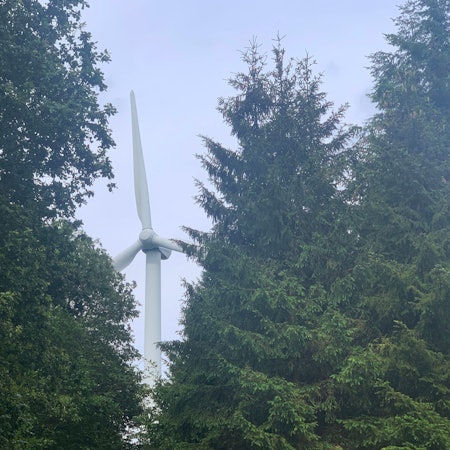 Das Bild zeigt eine Windkraftanlage, die von Bäumen umgeben ist.
