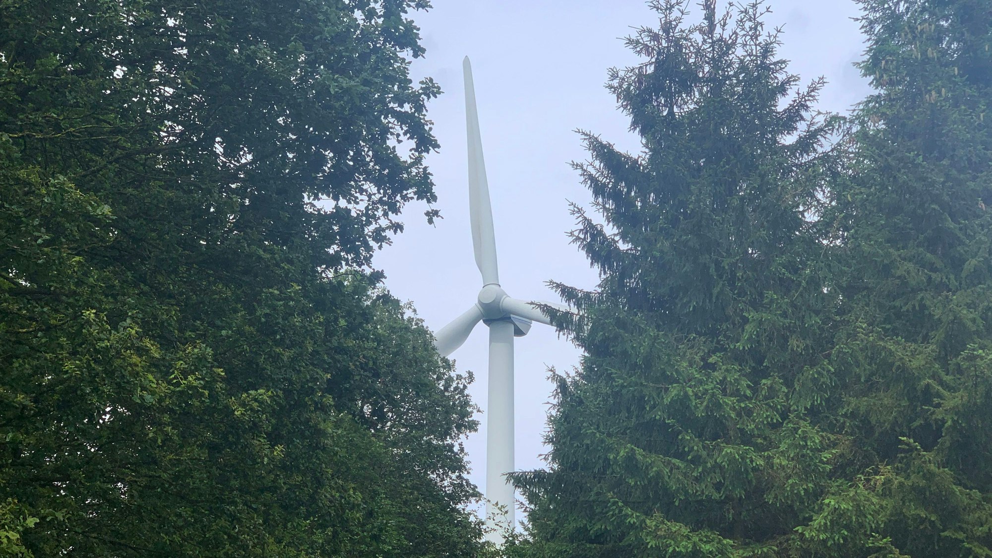 Das Bild zeigt eine Windkraftanlage, die von Bäumen umgeben ist.