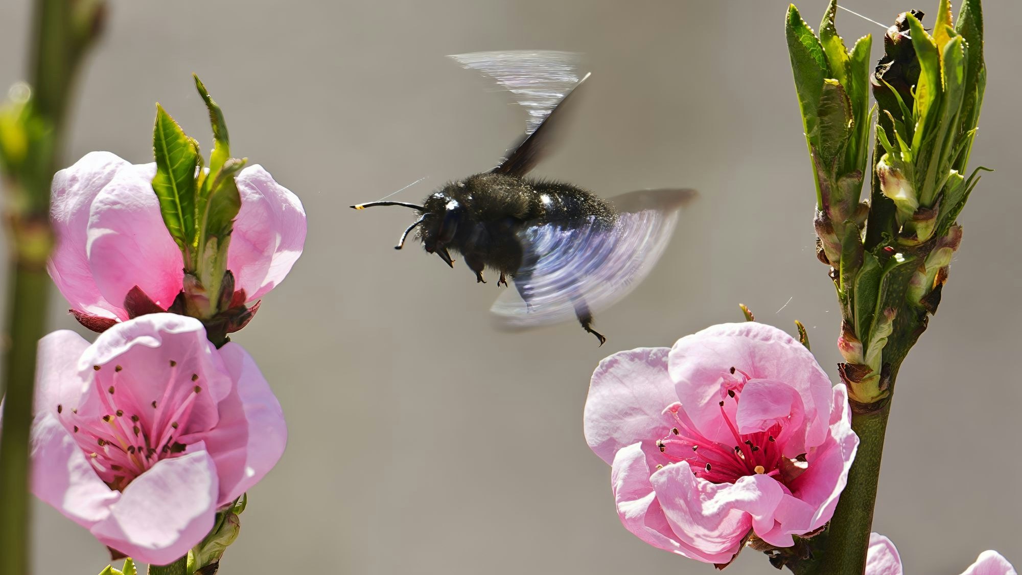 Klaus Steinberg aus Troisdorf gewann mit diesem Motiv im vergangenen Jahr den Wettbewerb im Rhein-Sieg-Kreis.