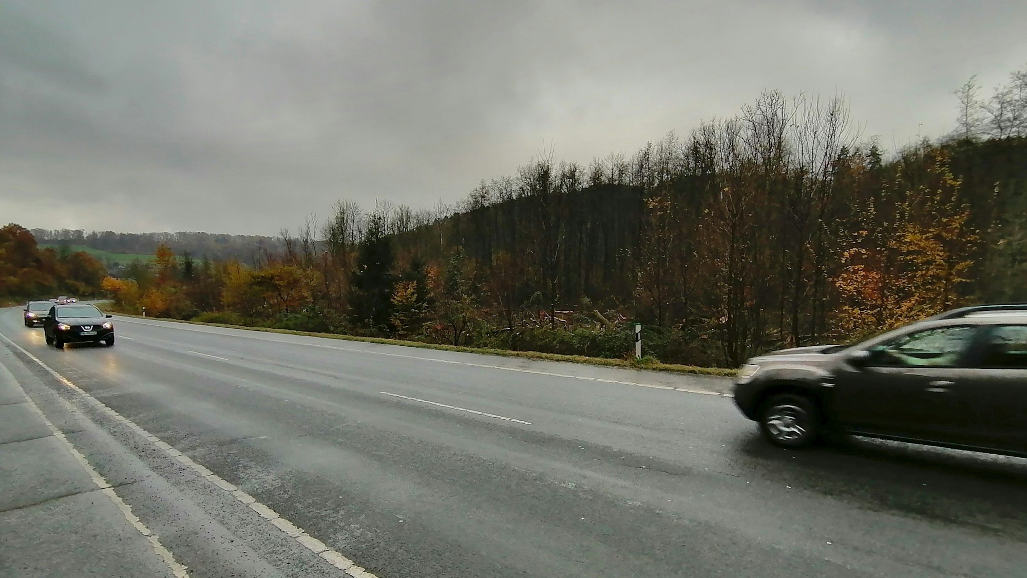 Autos fahren mit eingeschalteten Scheinwerfern über eine Landstraße, neben der Fahrbahn liegen gefällte Bäume.