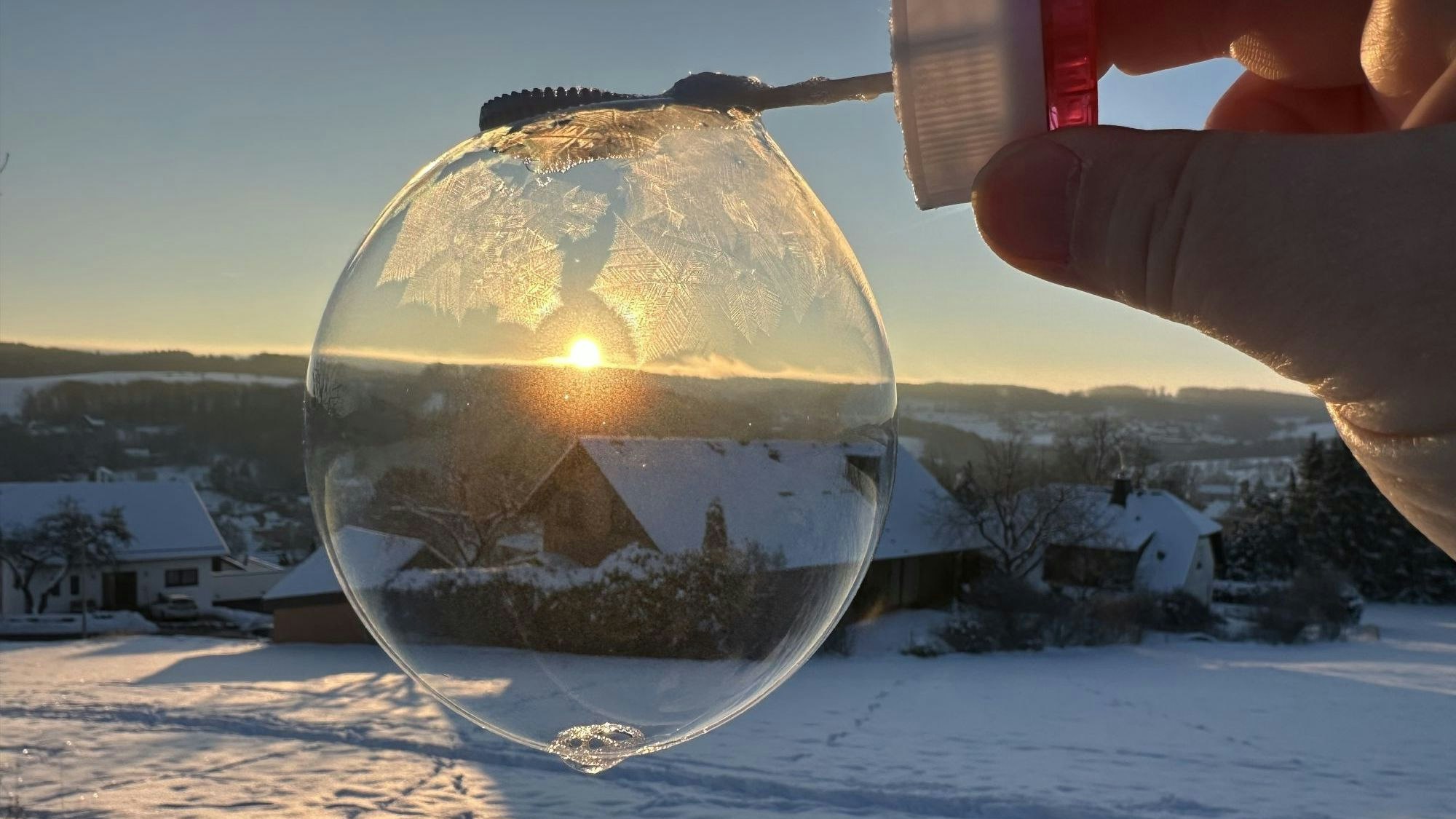 Platz drei beim Fotowettbewerb 2024 belegte Dagmar Deiters.