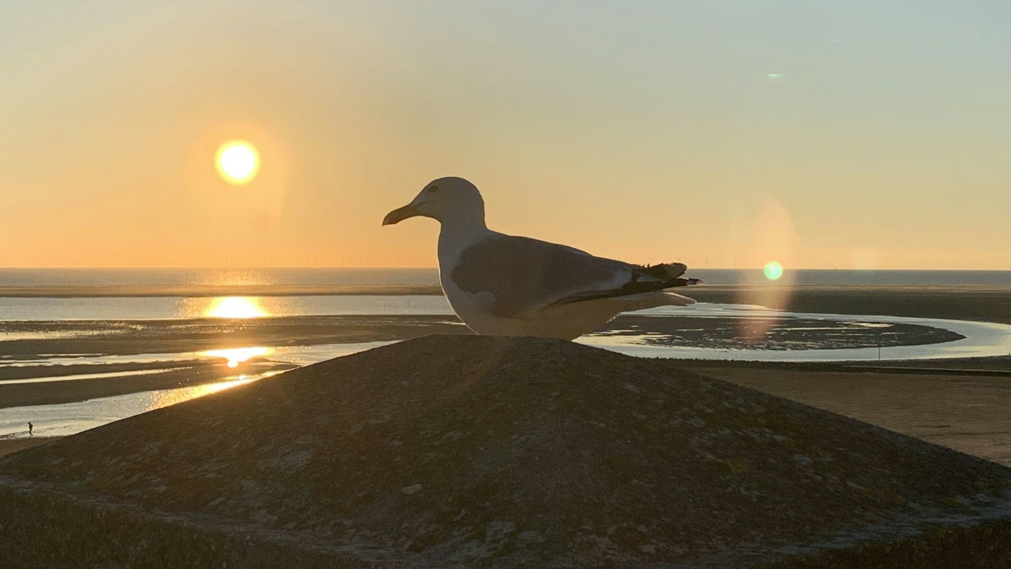 Ein Strandbild wie aus dem Katalog: Platz 12 aus 2024 von Marlene Severt aus Sankt Augustin.