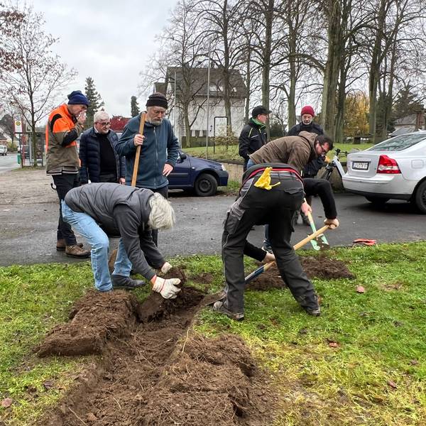 Vertreter der Offenlandstiftung und der Naturfreunde Leverkusen bepflanzen mit Kindern des St. Michael Kindergartens die Wiese.
