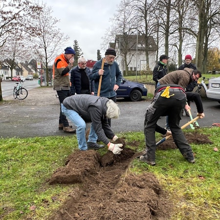 Vertreter der Offenlandstiftung und der Naturfreunde Leverkusen bepflanzen mit Kindern des St. Michael Kindergartens die Wiese.
