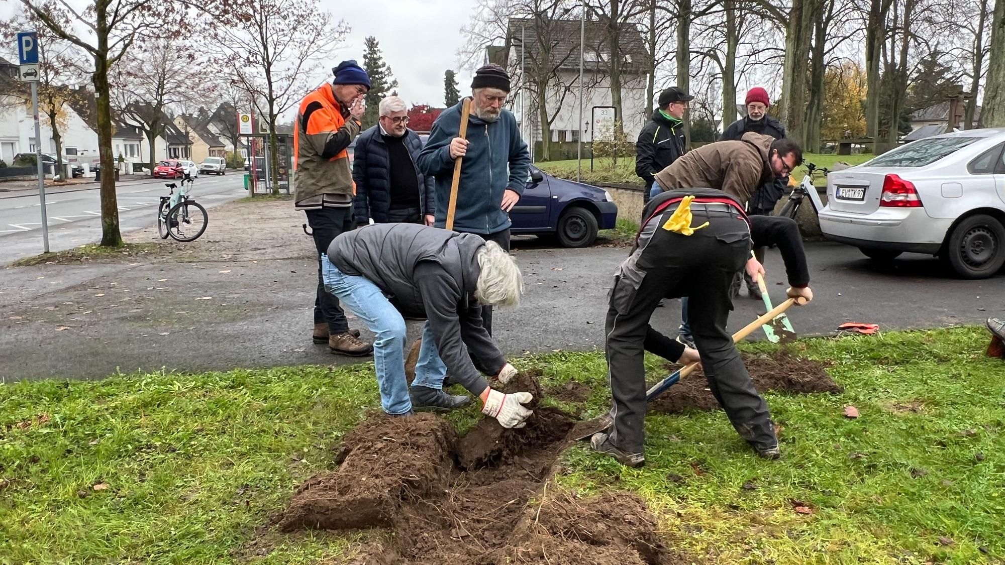 Vertreter der Offenlandstiftung und der Naturfreunde Leverkusen bepflanzen mit Kindern des St. Michael Kindergartens die Wiese.