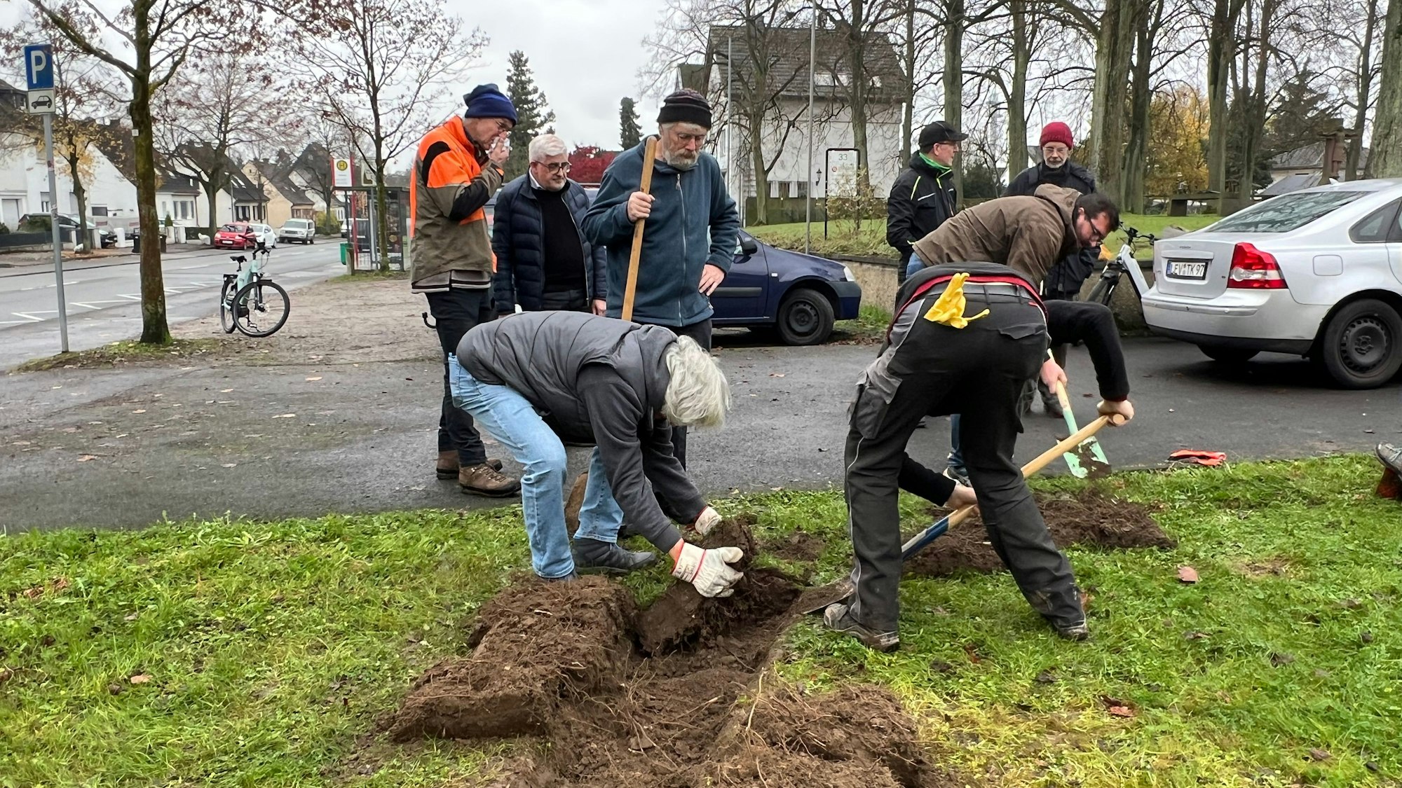 Vertreter der Offenlandstiftung und der Naturfreunde Leverkusen bepflanzen mit Kindern des St. Michael Kindergartens die Wiese.