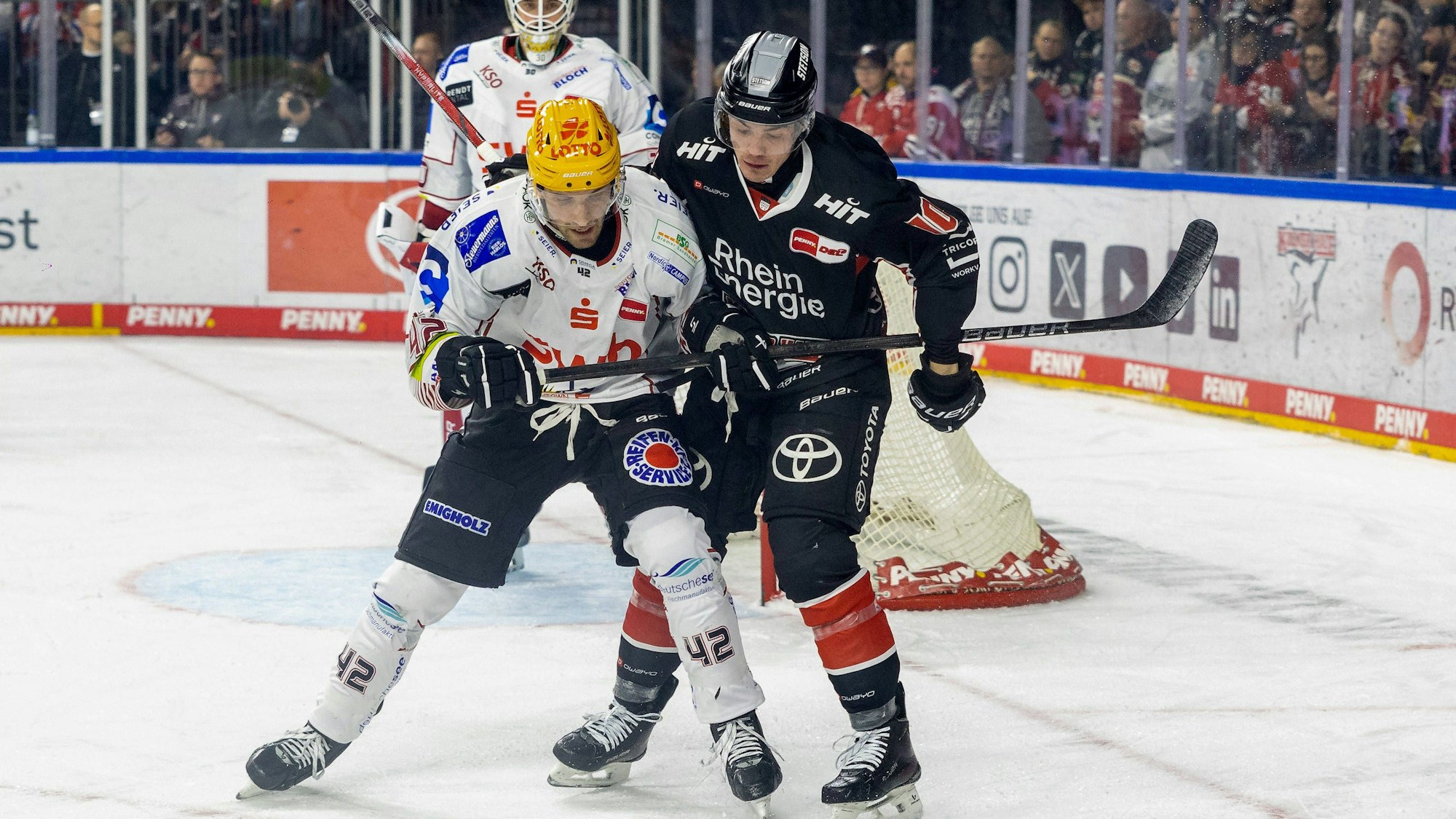 Matthew Abt Pinguins Bremerhaven, 42 vs Justin Schuetz Koelner Haie, 10 Koelner Haie vs. Pinguins Bremerhaven, Eishockey, Penny DEL, 16. Spieltag, 2024/2025, 15.11.2024 Koelner Haie vs. Pinguins Bremerhaven, Eishockey, Penny DEL, 16. Spieltag, 2024/2025, 15.11.2024 Koeln *** Matthew Abt Pinguins Bremerhaven, 42 vs Justin Schuetz Koelner Haie, 10 Koelner Haie vs Pinguins Bremerhaven, Ice Hockey, Penny DEL, Matchday 16, 2024 2025, 15 11 2024 Koelner Haie vs Pinguins Bremerhaven, Ice Hockey, Penny DEL, Matchday 16, 2024 2025, 15 11 2024 Koeln Copyright: xEibner-Pressefoto/GerhardxWingenx EP_GWR