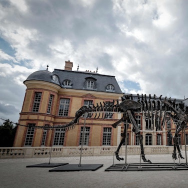 Das Dinosaurier-Skelett „Vulcain“