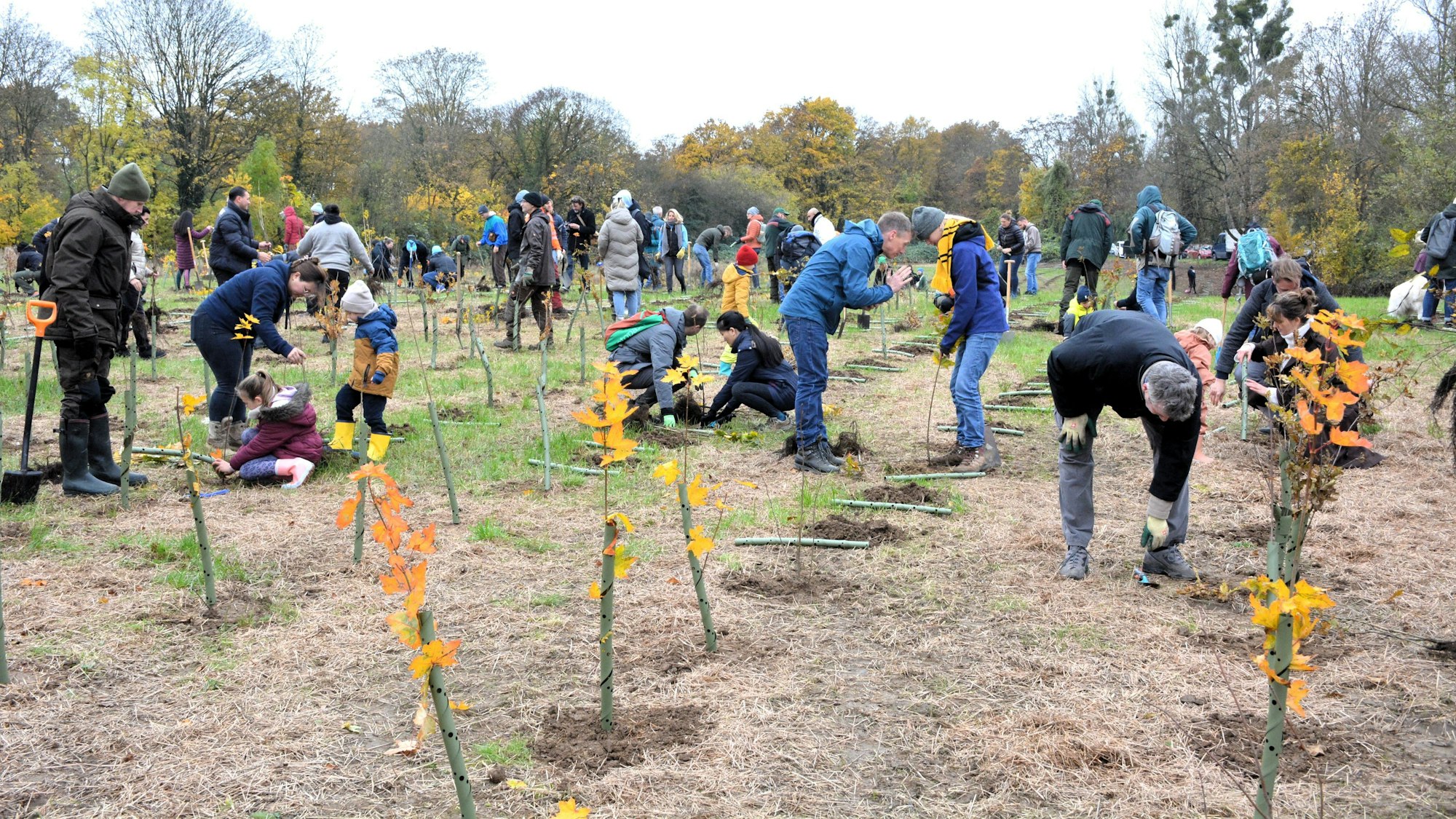 Zahlreiche Menschen waren auf das Gelände an der Frankfurter Straße gekommen, um neue Bäume zu pflanzen.
