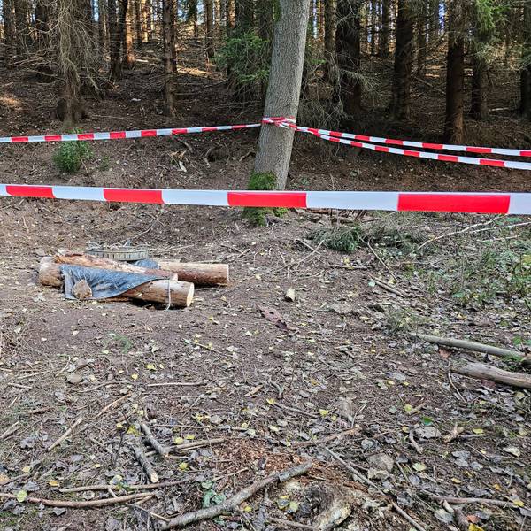 Eine Absperrung in einem Waldstück.