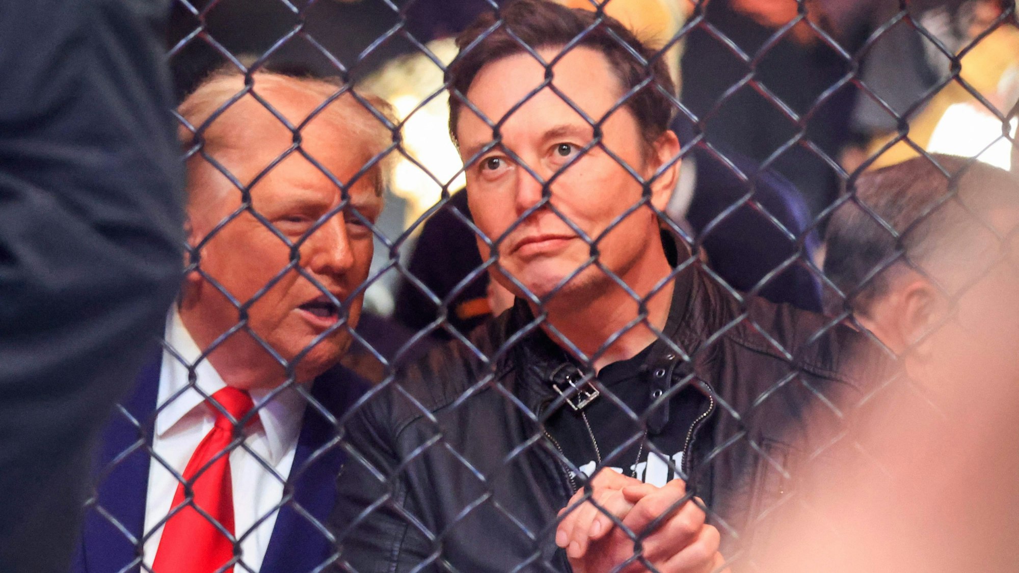 Donald Trump und Elon Musk bei einem UFC-Event in New York.