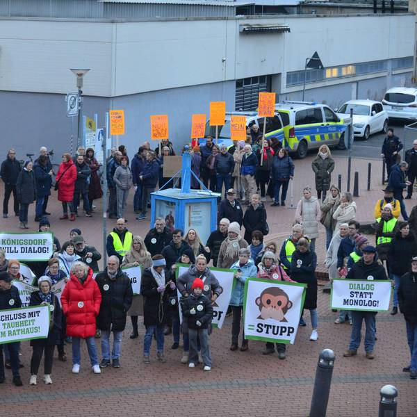 Auf dem Bild sind Demonstranten vor dem Stadtsaal zu sehen.