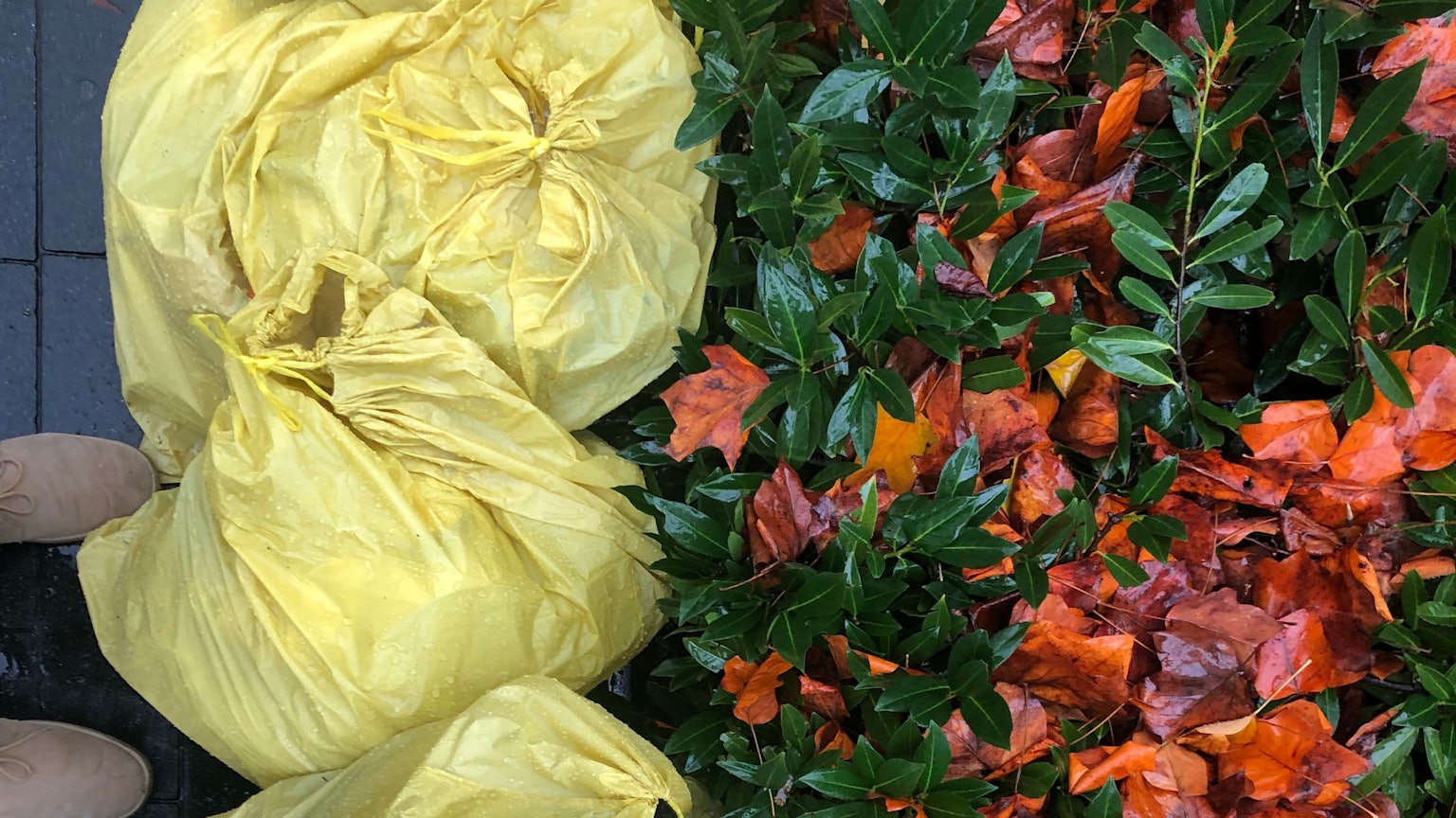 Das Foto zeigt Müllsäcke, die im Regen stehen