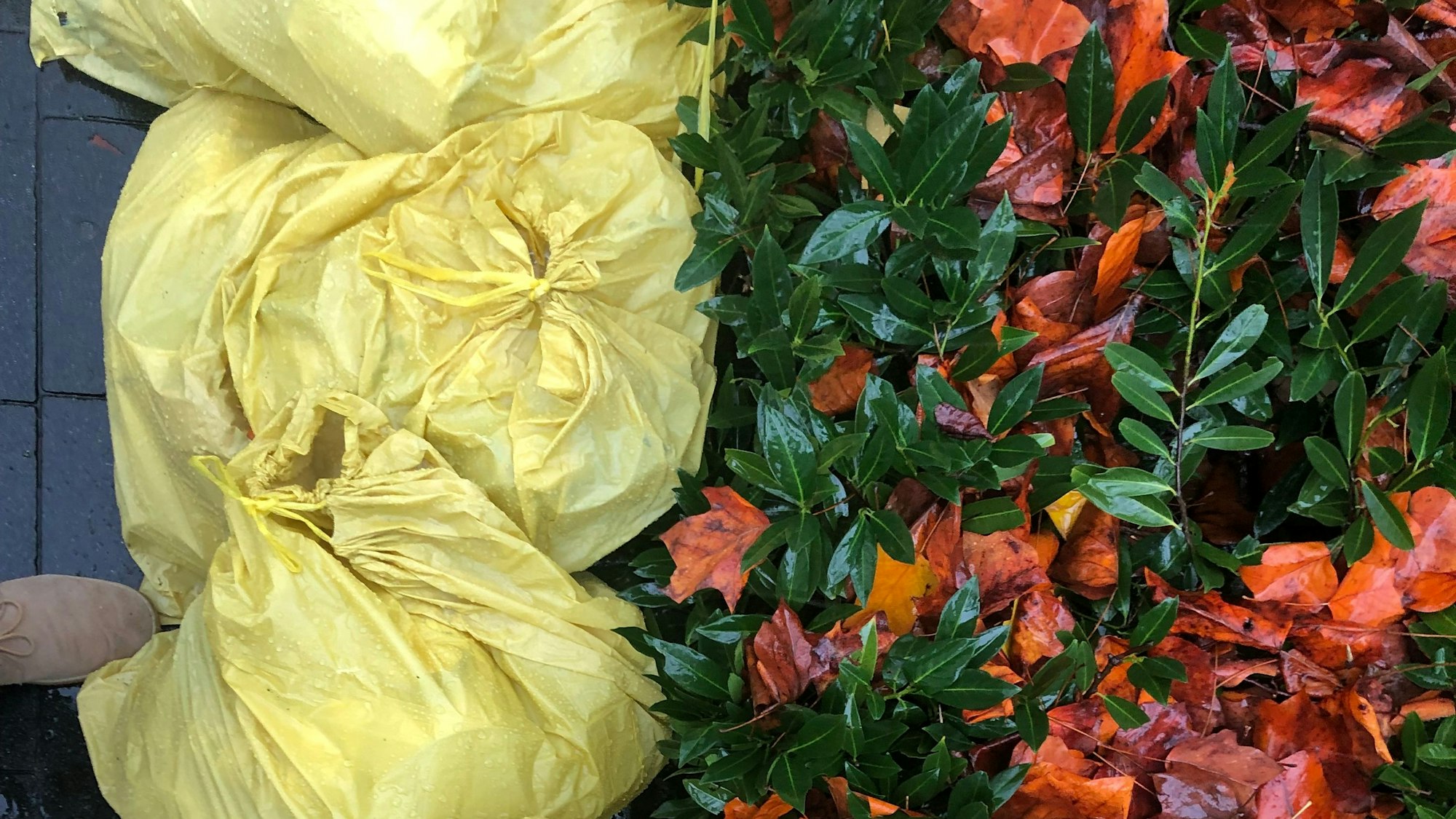 Das Foto zeigt Müllsäcke, die im Regen stehen