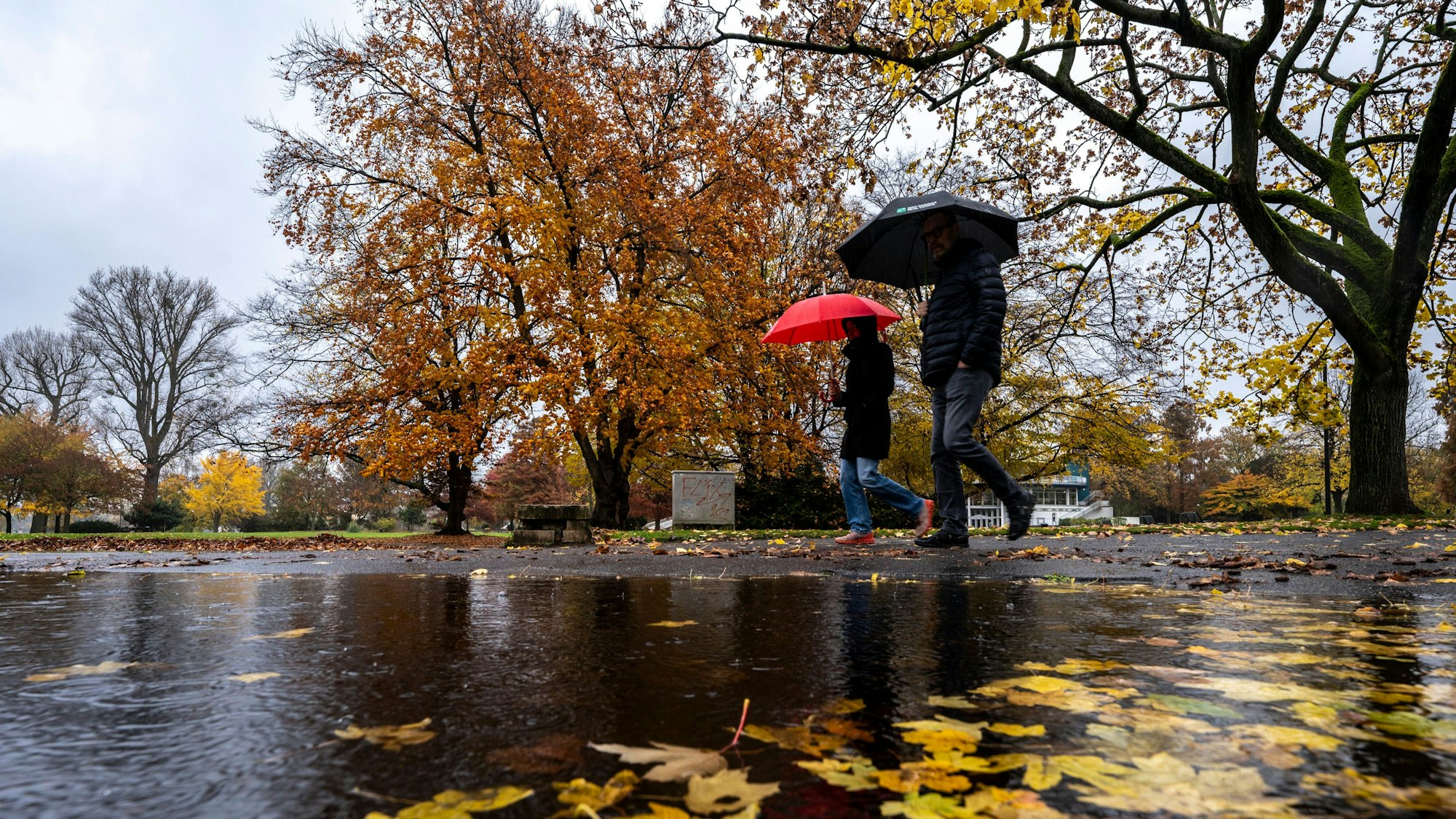 Im Kölner Rheinpark sollten Spaziergänger auch in den kommenden Tagen einen Regenschirm mitnehmen. Das Wetter bleibt regnerisch.