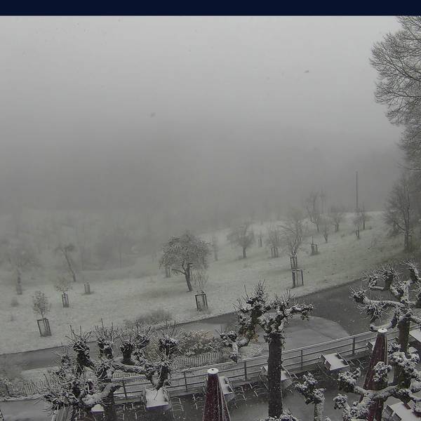 Erster Schnee im Siebengebirge am Löwenburger Hof.