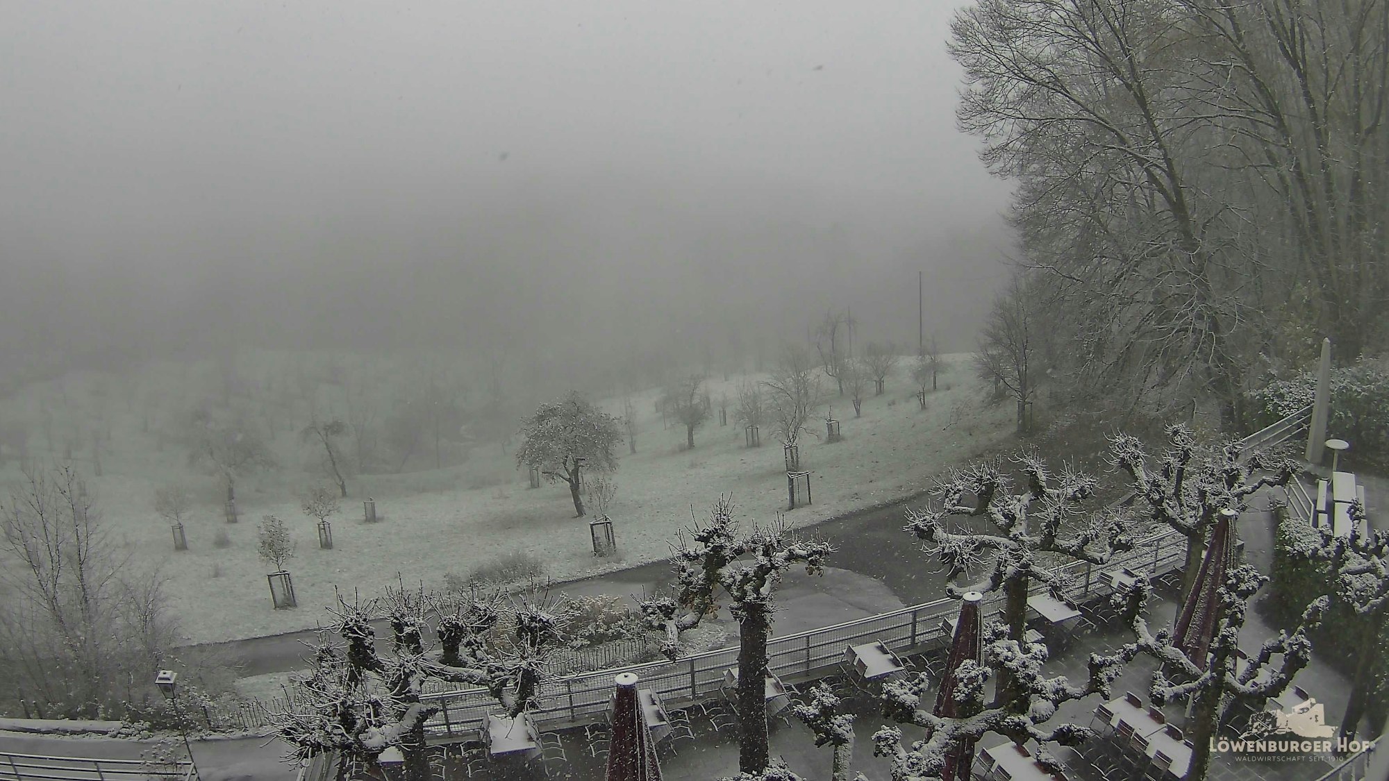 Erster Schnee im Siebengebirge am Löwenburger Hof.