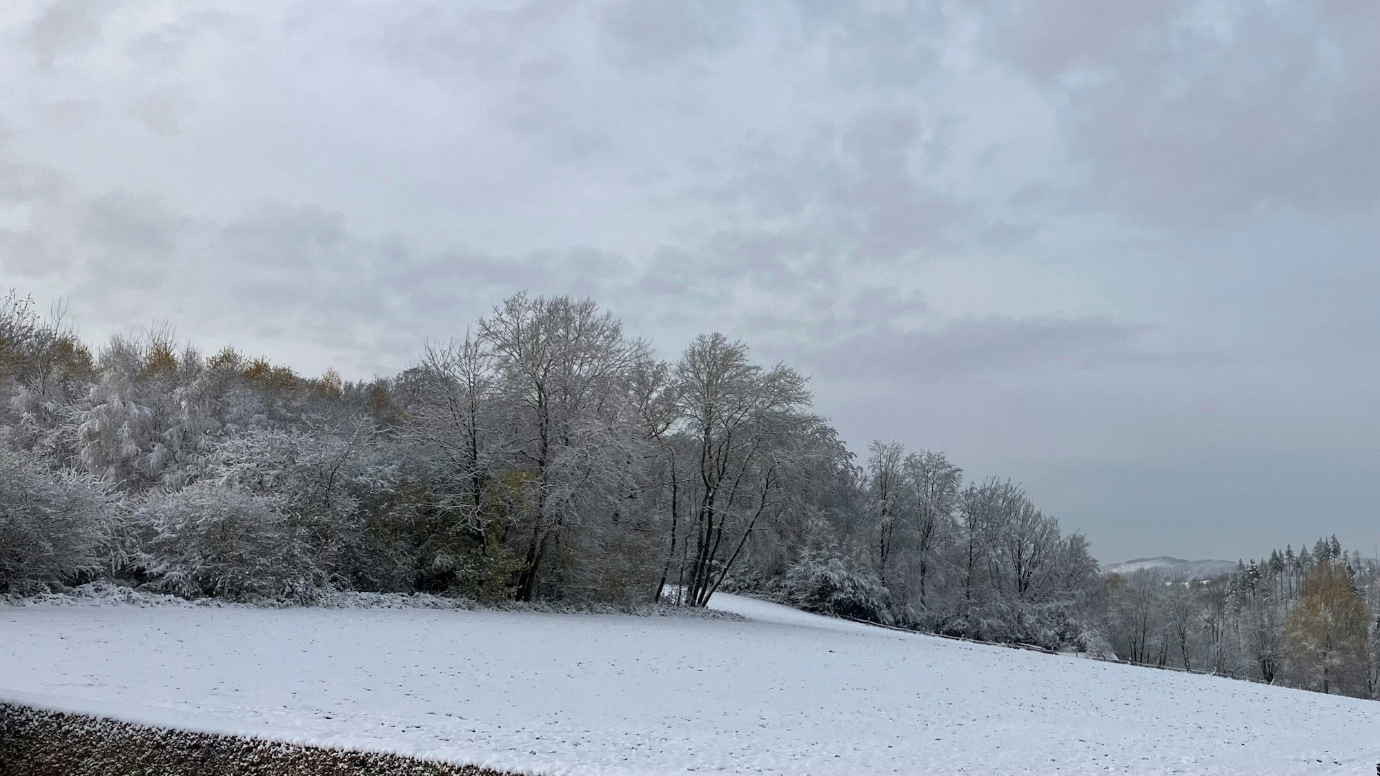 Schneelandschaft, aufgenommen in Engelskirchen-Wahlscheid.