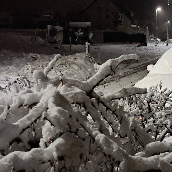 Ein Baum, ein Auto und eine Straße sind von einer Schneedecke überzogen. Es ist Nacht und eine Straßenlaterne leuchtet.