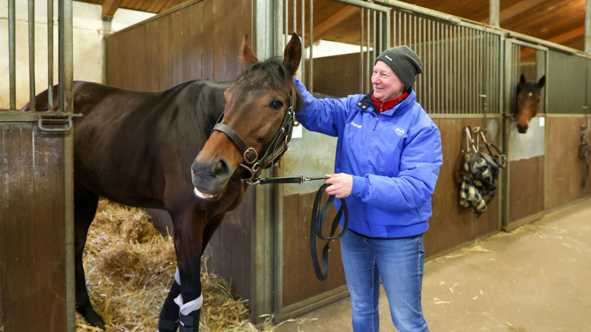 20.11.2024
Köln:
Eckhard Saurens Championpferd Assistent geht in den Ruhestand und beginnt eine neue Karriere als Deckhengst.
Foto: Martina Goyert