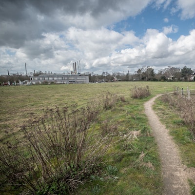 Grundstück am rand der Siedlung, auf dem Bayer 04 ein Internat bauen will. Foto: Ralf Krieger