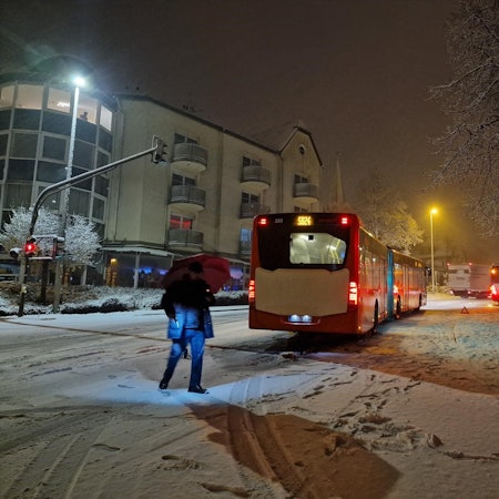 Busse stehen auf einer schneebedeckten Straße.