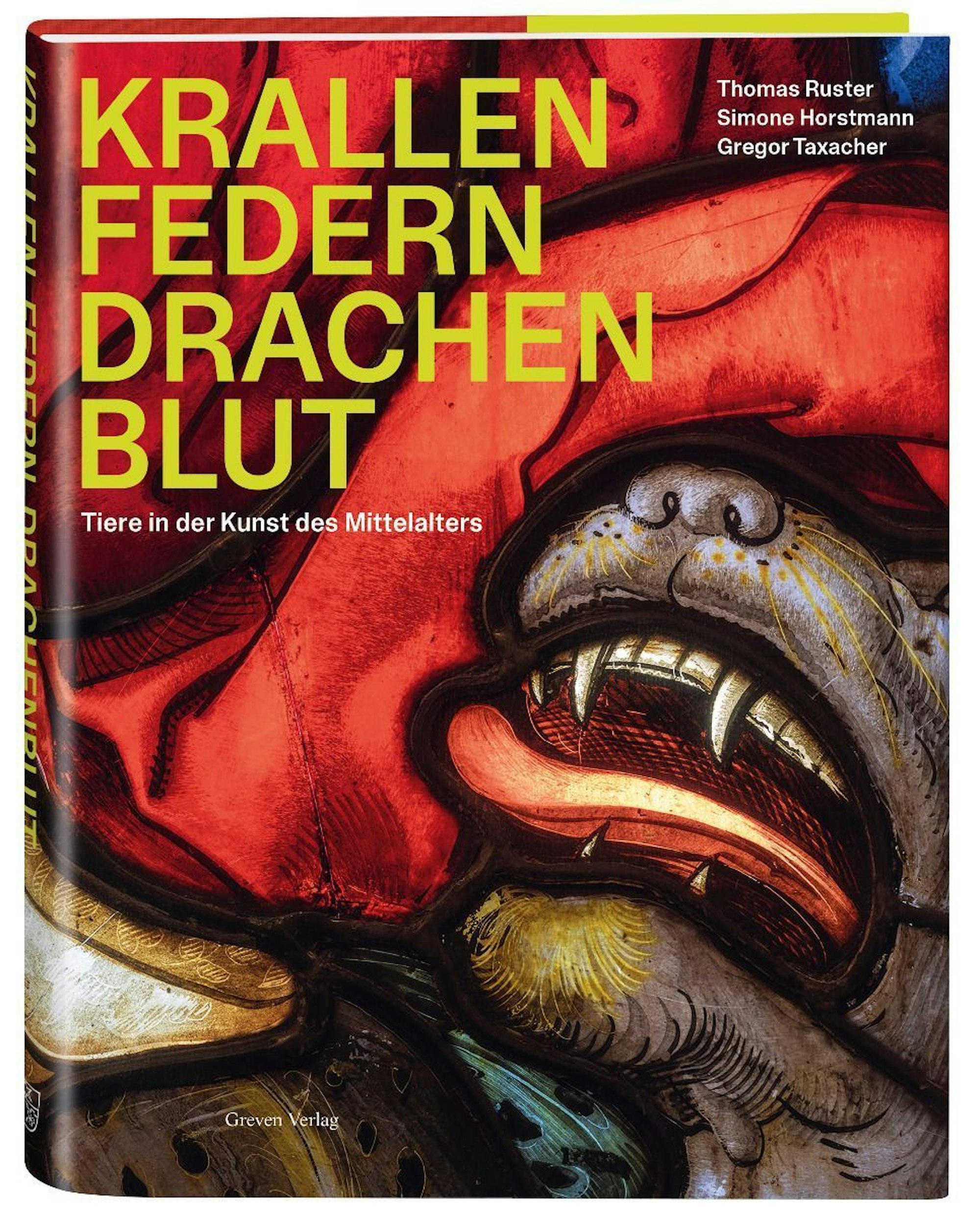 Ein Buchcover mit Großaufnahme eines Drachen.