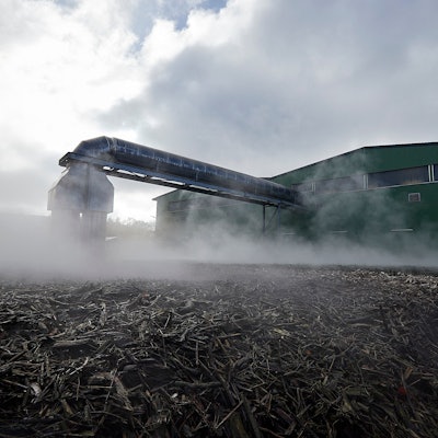 Bei einer Kompostieranlage liegt Strauch und Astwerk auf dem Boden. Dampf steigt im Hintergrund auf.