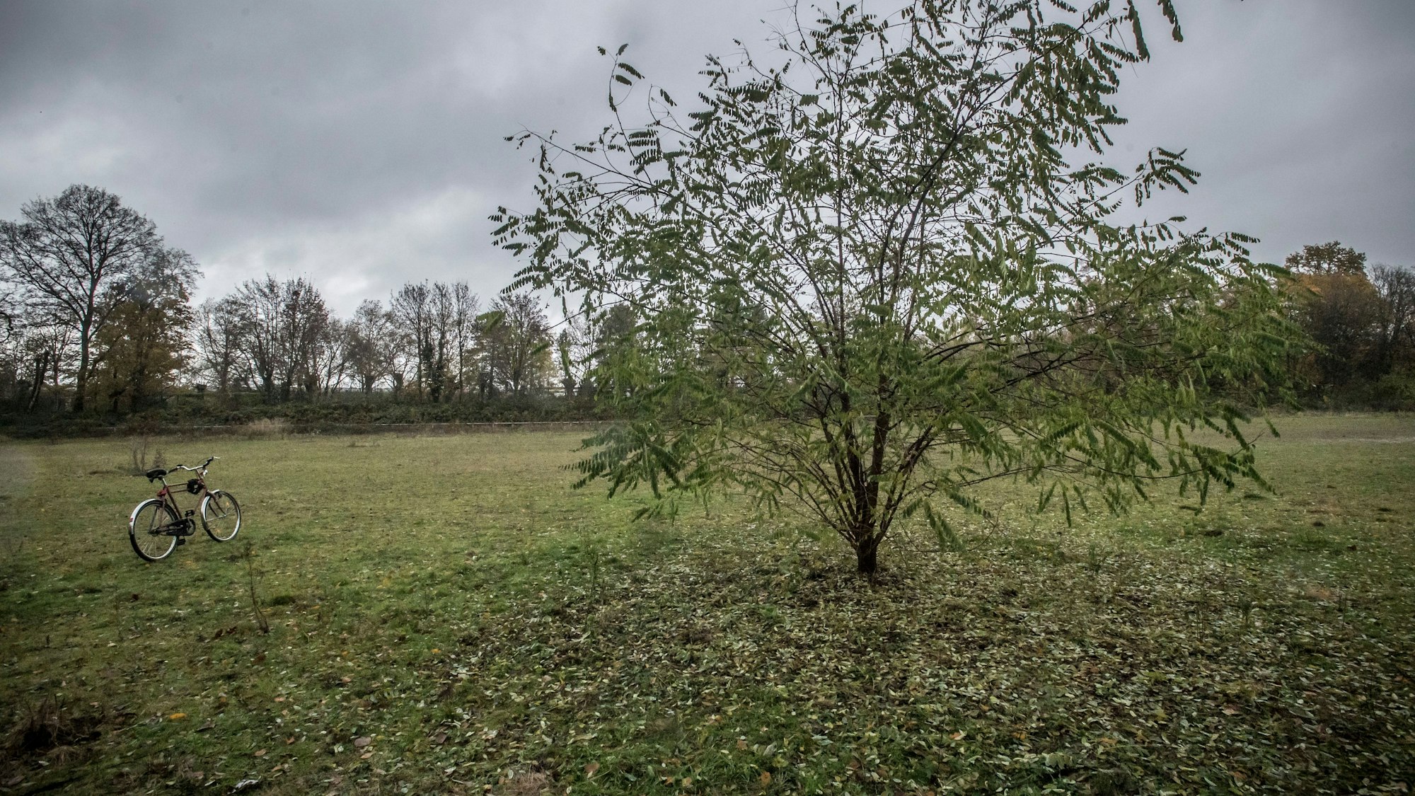 Man sieht dem alten Fußballfeld des BV Wiesdorf von 1920 im Stadtpark nicht an, dass das mal ein Ascheplatz war. Foto: Ralf Krieger