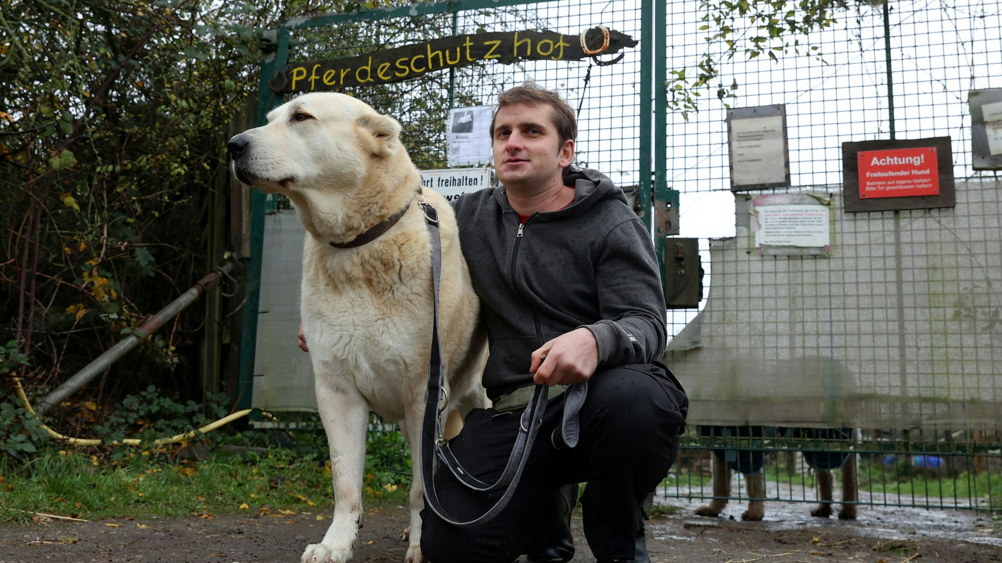 Dennis Verbeek hockt neben seinem Hund Willa auf dem Boden. Im Hintergrund steht ein Zaun mit dem Schuld „Pferdeschutzhof“.