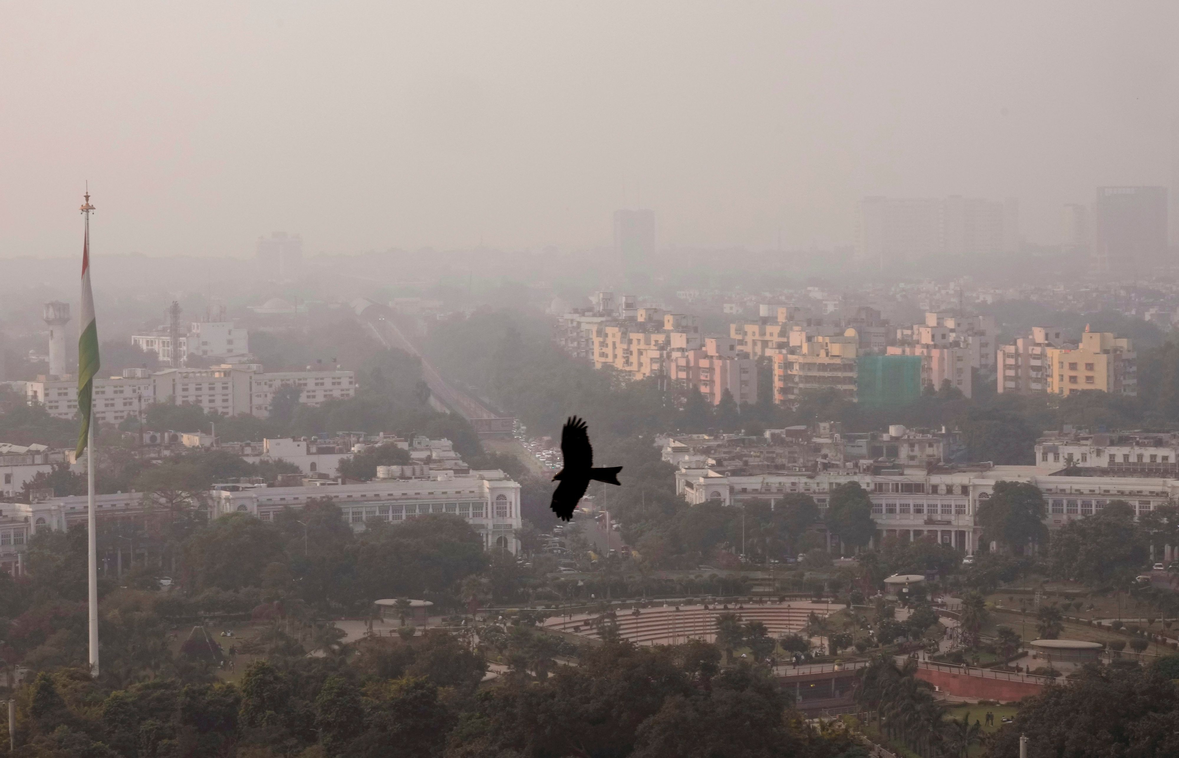 In Indien ist ein tot geglaubter junger Mann kurz vor seiner geplanten rituellen Verbrennung wieder zu Bewusstsein gekommen.