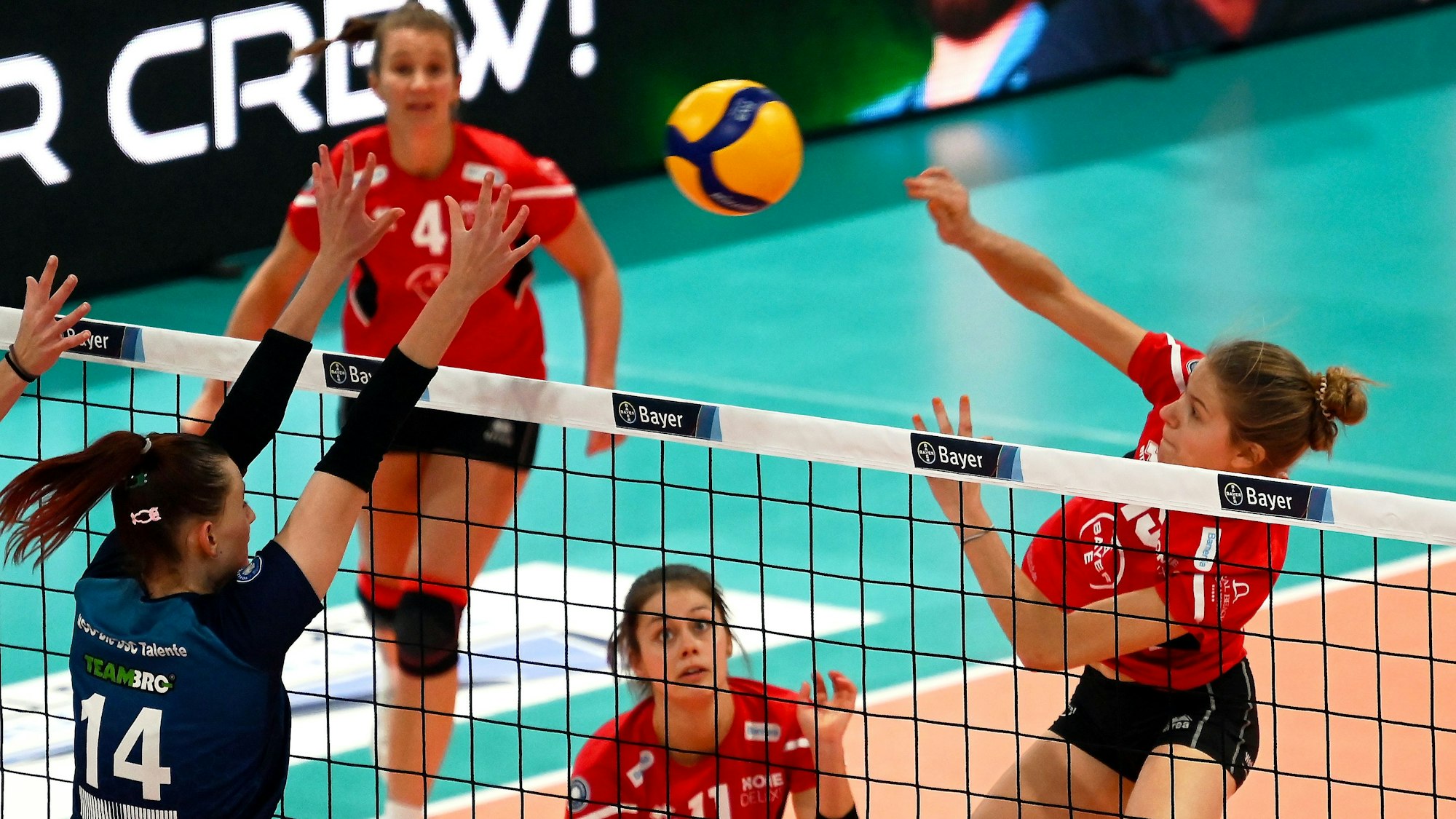 23.11.2024, Volleyball-Bayer leverkusen-VCO Dresden
rechts: Betty Lange (Bayer)
Foto: Uli Herhaus