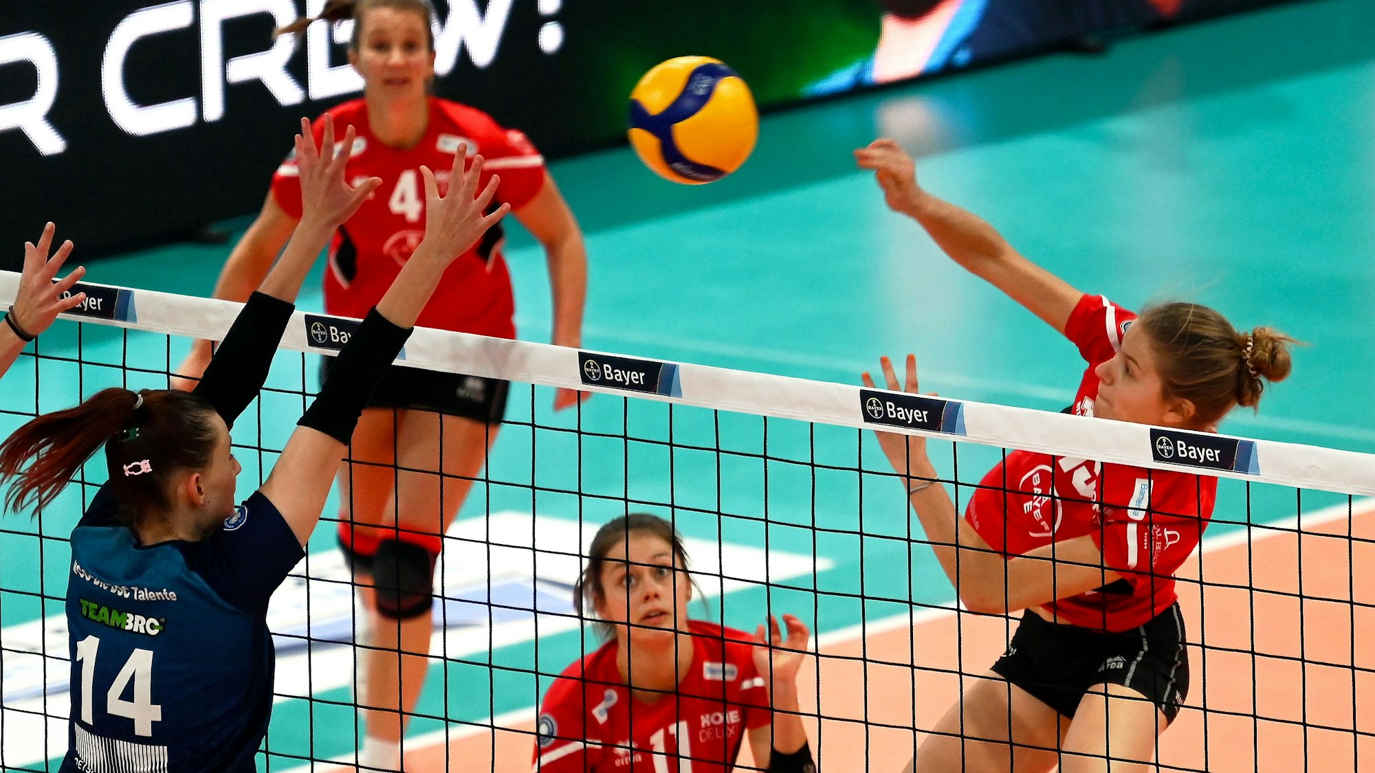 23.11.2024, Volleyball-Bayer leverkusen-VCO Dresden
rechts: Betty Lange (Bayer)
Foto: Uli Herhaus