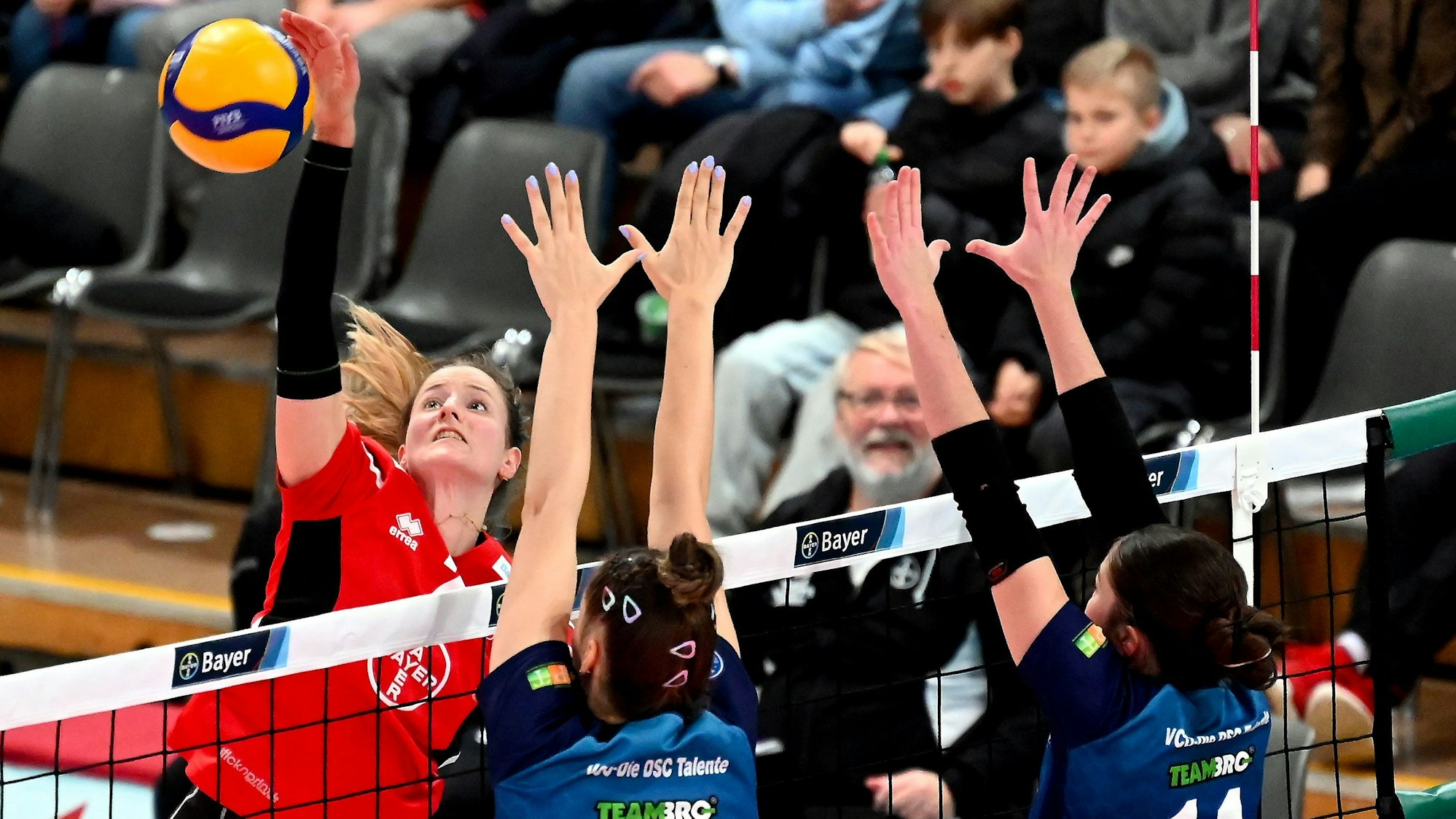 23.11.2024, Volleyball-Bayer leverkusen-VCO Dresden
links: Lena Rößler (Bayer)
Foto: Uli Herhaus