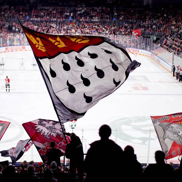Fans der Kölner Haie feuern auf der Tribüne ihre Mannschaft an. Rund 800 Fans aus Düsseldorf sind für das Derby nach Köln gekommen.