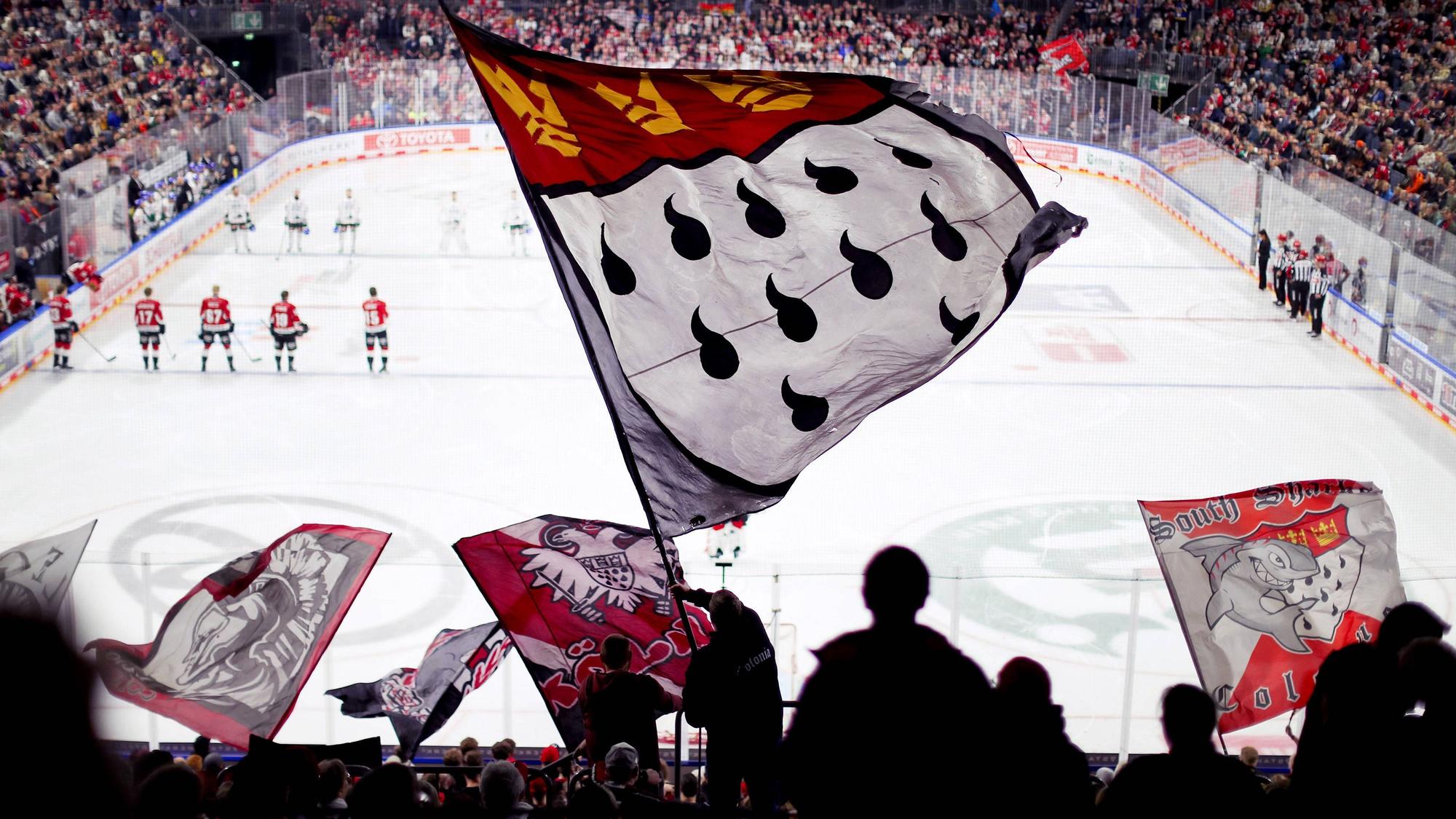 Fans der Kölner Haie feuern auf der Tribüne ihre Mannschaft an. Rund 800 Fans aus Düsseldorf sind für das Derby nach Köln gekommen.