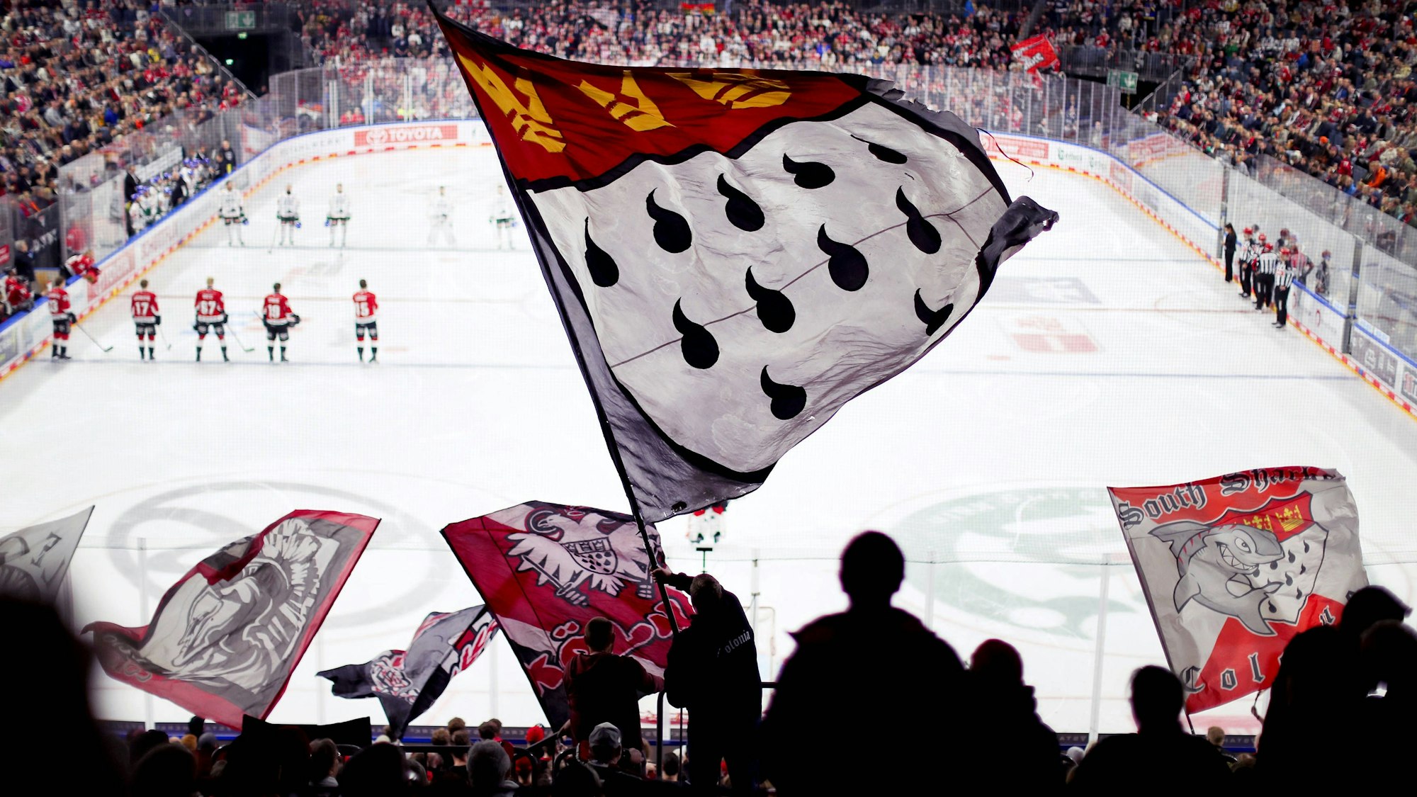 Fans der Kölner Haie feuern auf der Tribüne ihre Mannschaft an. Rund 800 Fans aus Düsseldorf sind für das Derby nach Köln gekommen.
