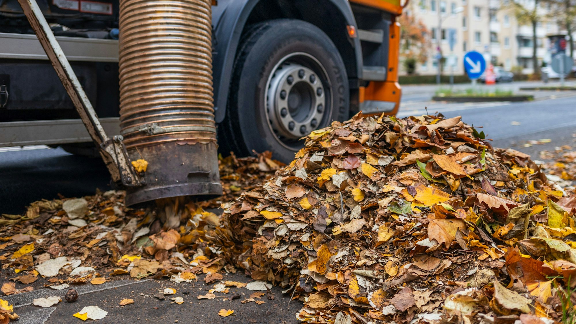 Für das Einsammeln der Laubberge kommt ein spezieller Laubsauger zum Einsatz, der einem Müllwagen mit großem Saugrüssel ähnelt.