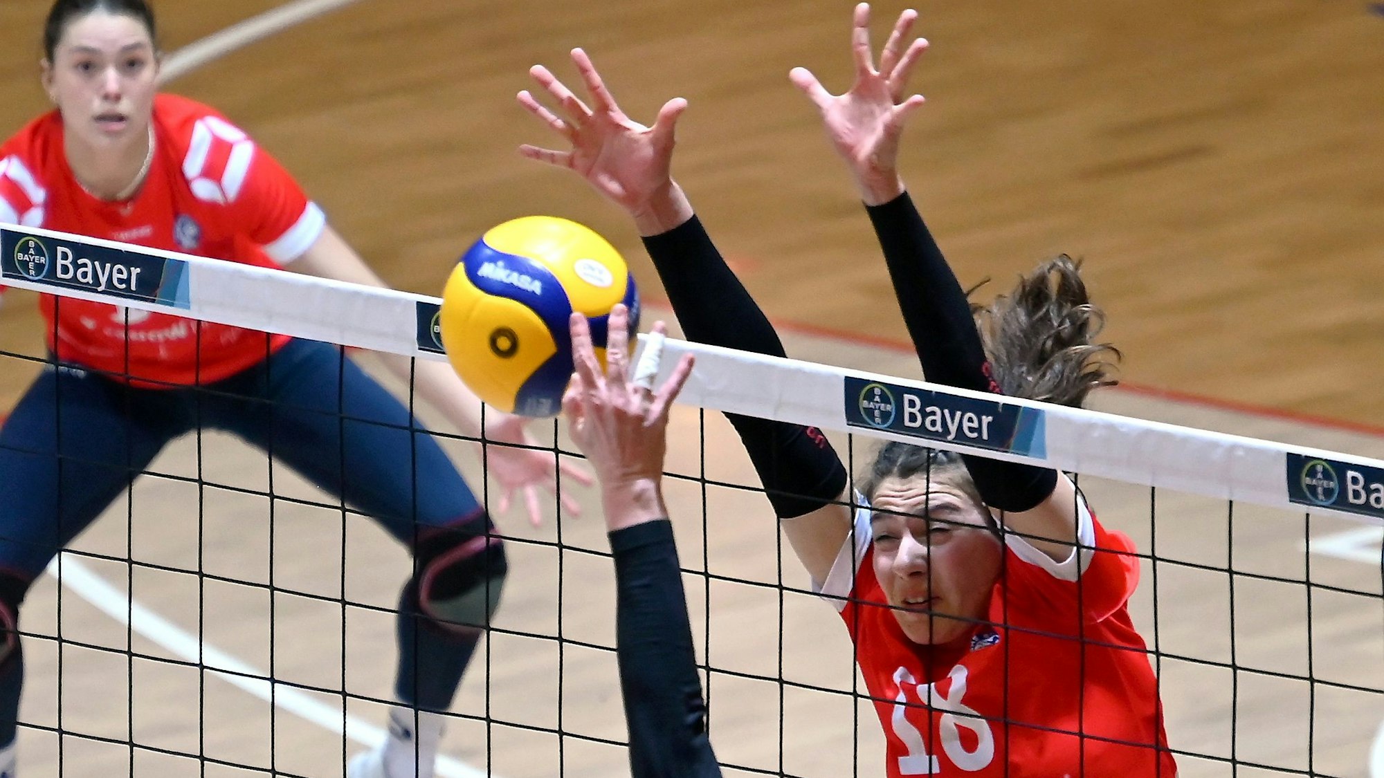 04.03.2023, Volleyball-Bayer Leverkusen-DSHS Köln
rechts: Melanie Gosmann (Köln)
Foto: Uli Herhaus