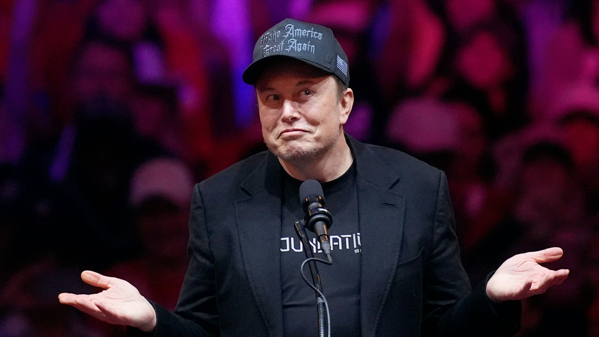 FILE - Elon Musk speaks at a campaign rally, Oct. 27, 2024, in New York. (AP Photo/Evan Vucci, File)