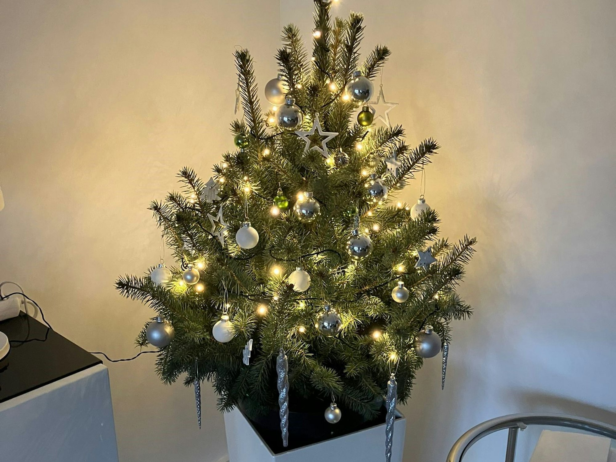 Ein Weihnachtsbaum im Topf.