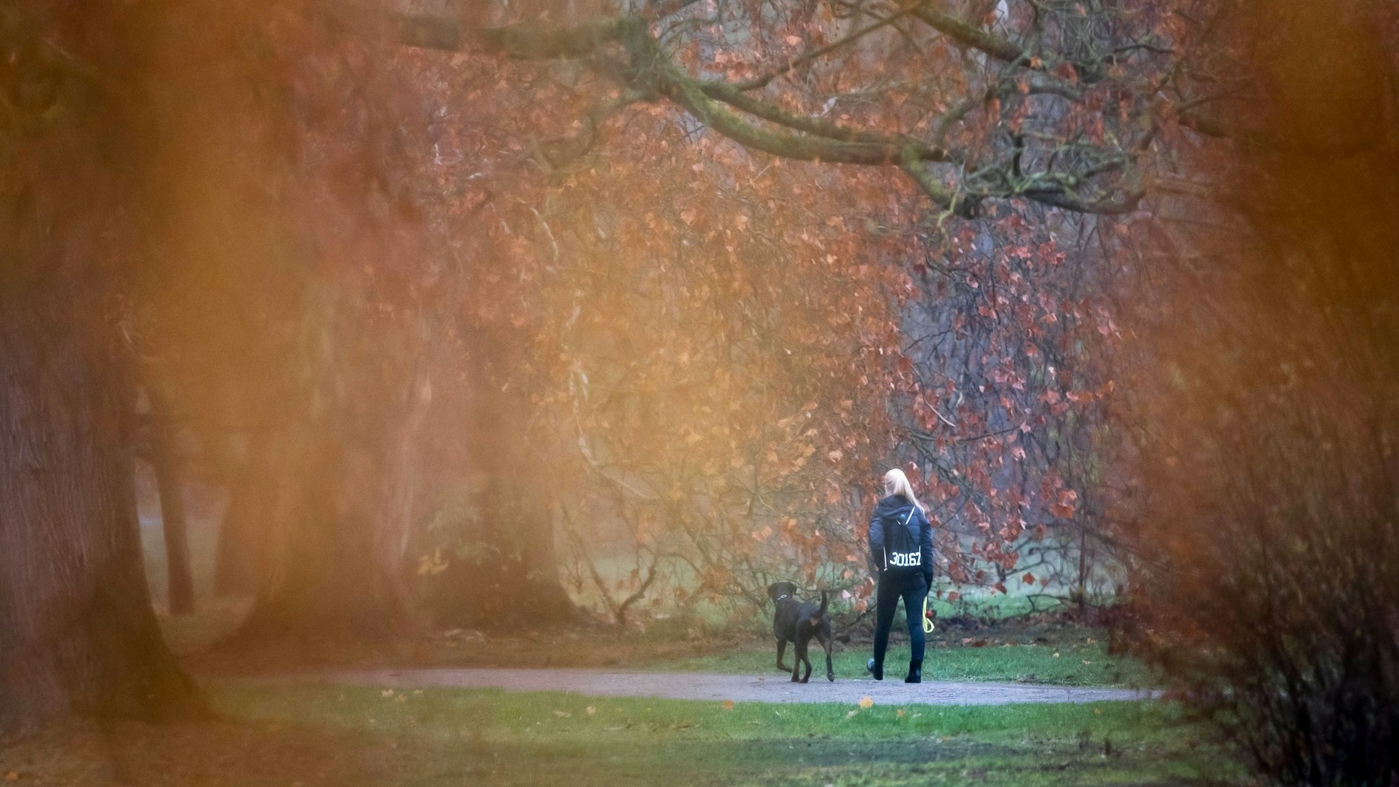 Eine Hundebesitzerin führt ihren Vierbeiner bei Nieselregen durch einen Park (Symbolfoto).