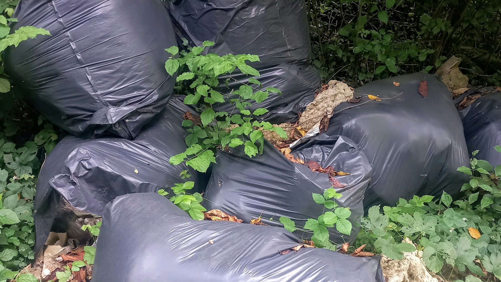 Das Foto zeigt zugewachsene, teils eingerissene Müllsäcke, gefüllt mit Dämmmaterial.