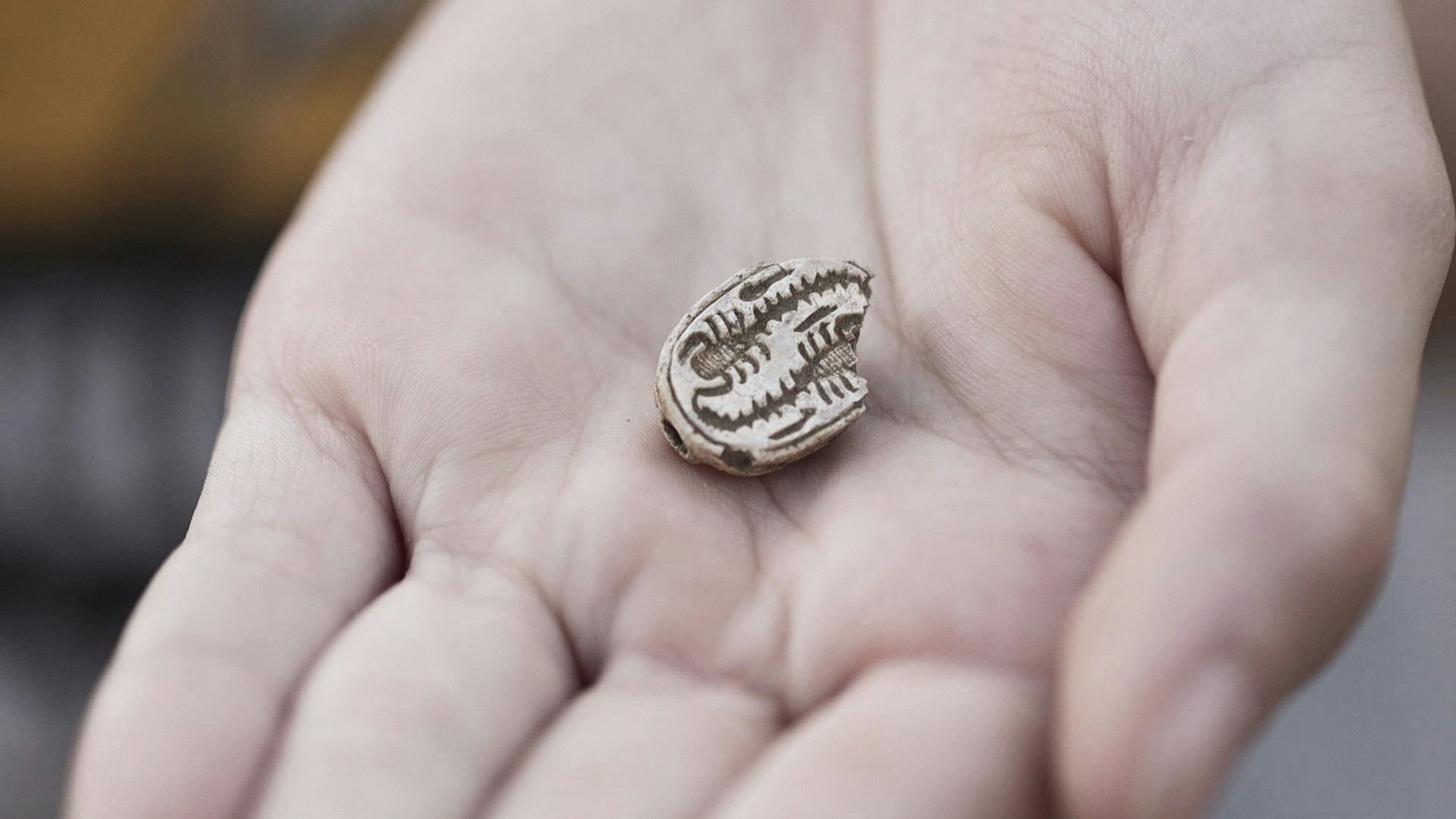 Eine Jugendliche hat in Israel bei einem Ausflug ein etwa 3500 Jahre altes ägyptisches Amulett gefunden.